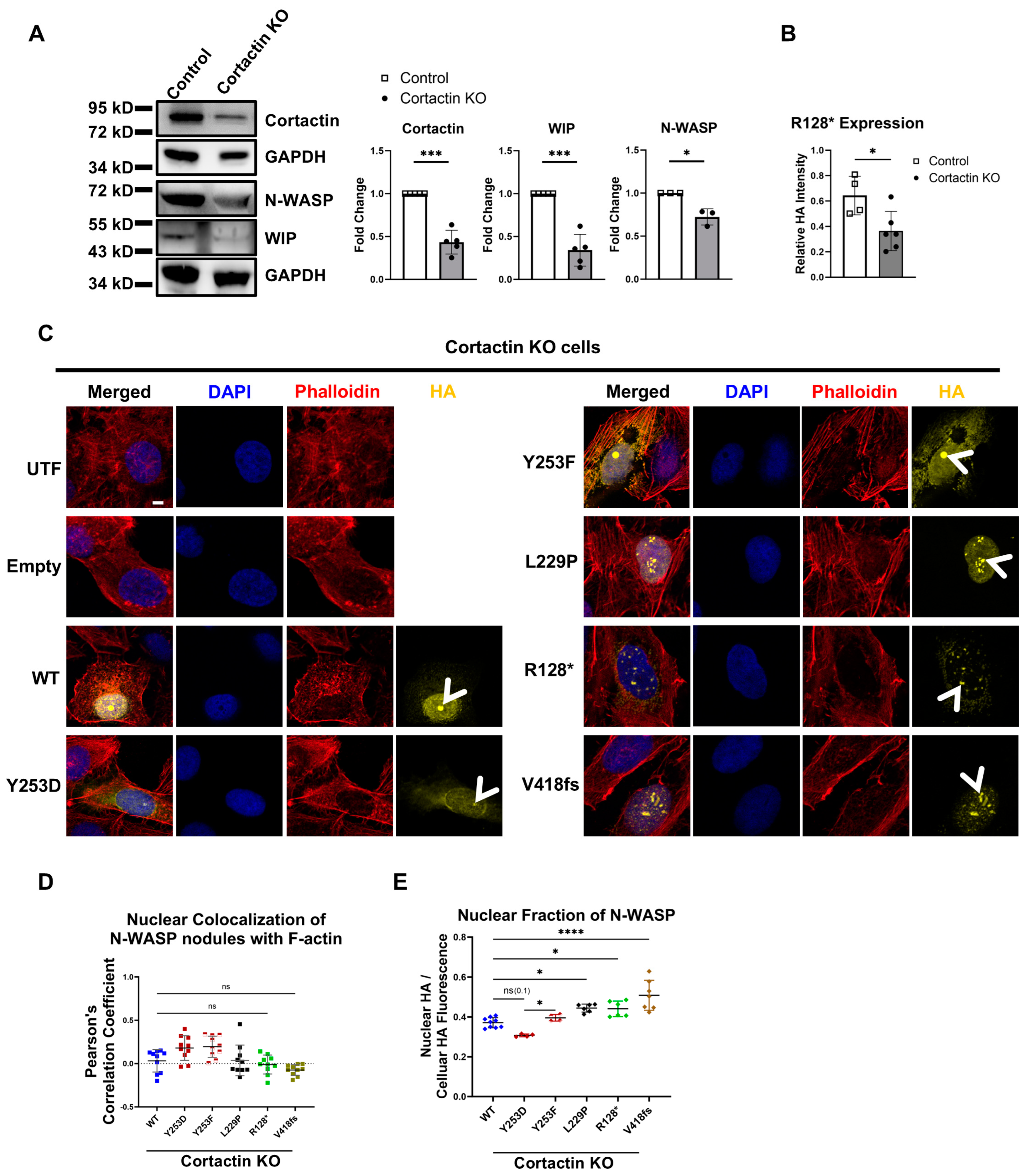 Cells 14 00059 g009 Cells 14 00059 g009