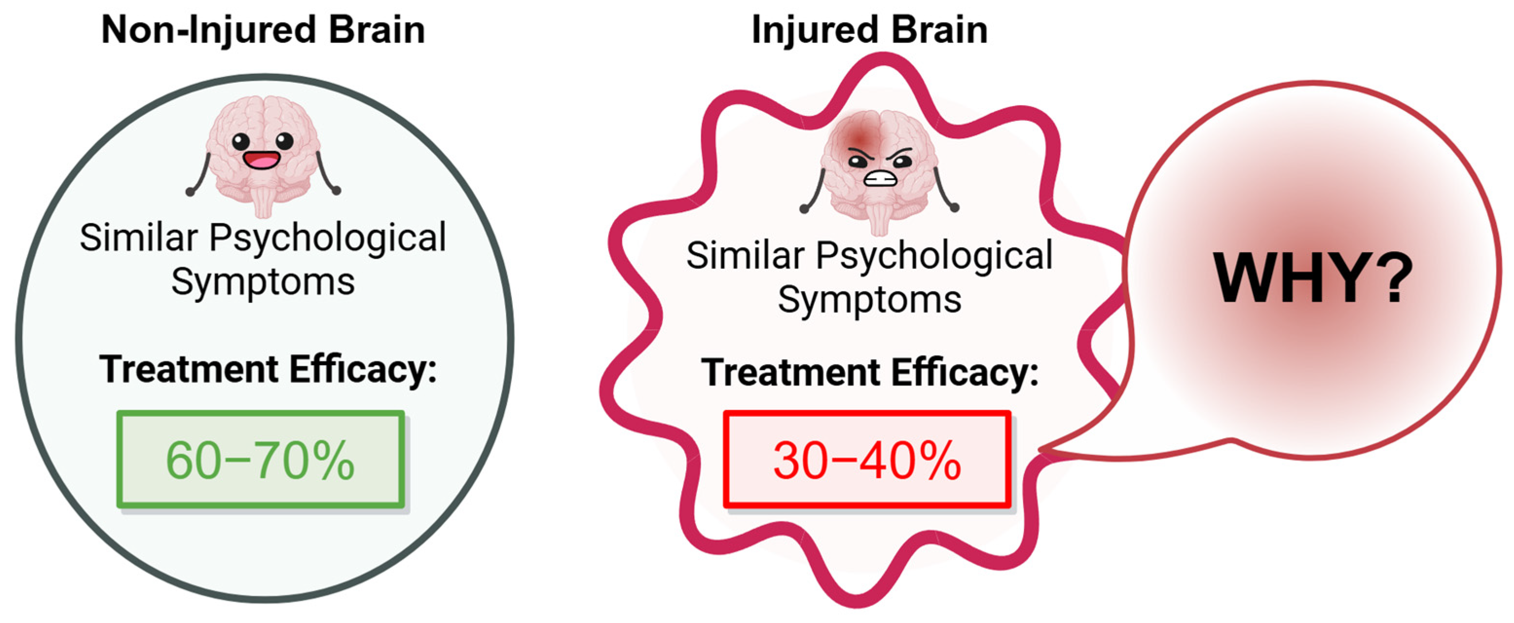 Cells 14 00074 g001 Cells 14 00074 g001