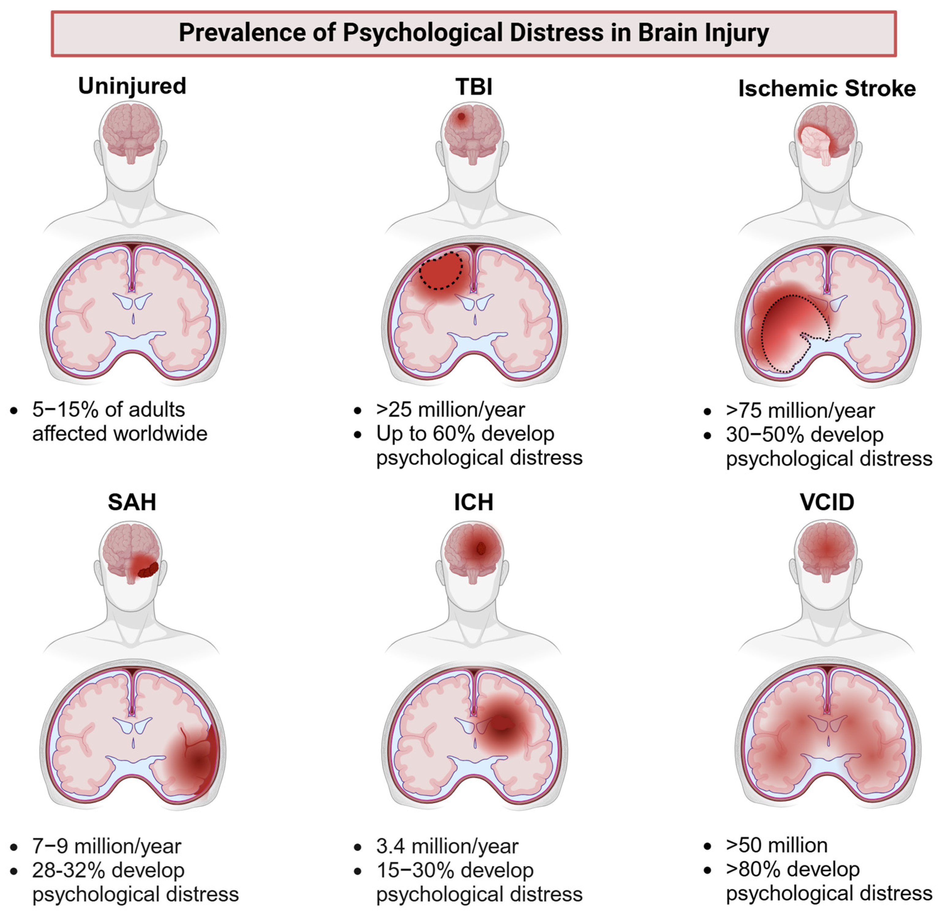 Cells 14 00074 g002 Cells 14 00074 g002