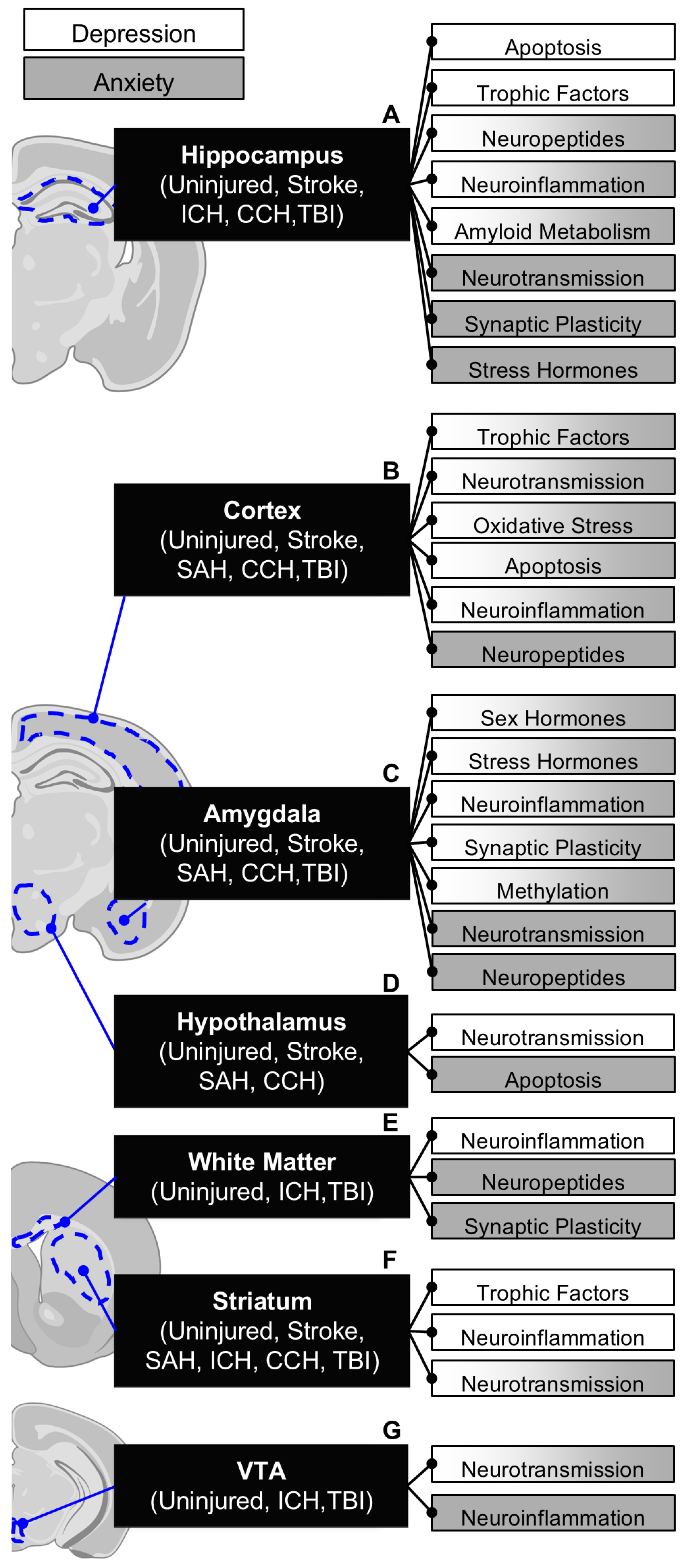 Cells 14 00074 g003 Cells 14 00074 g003