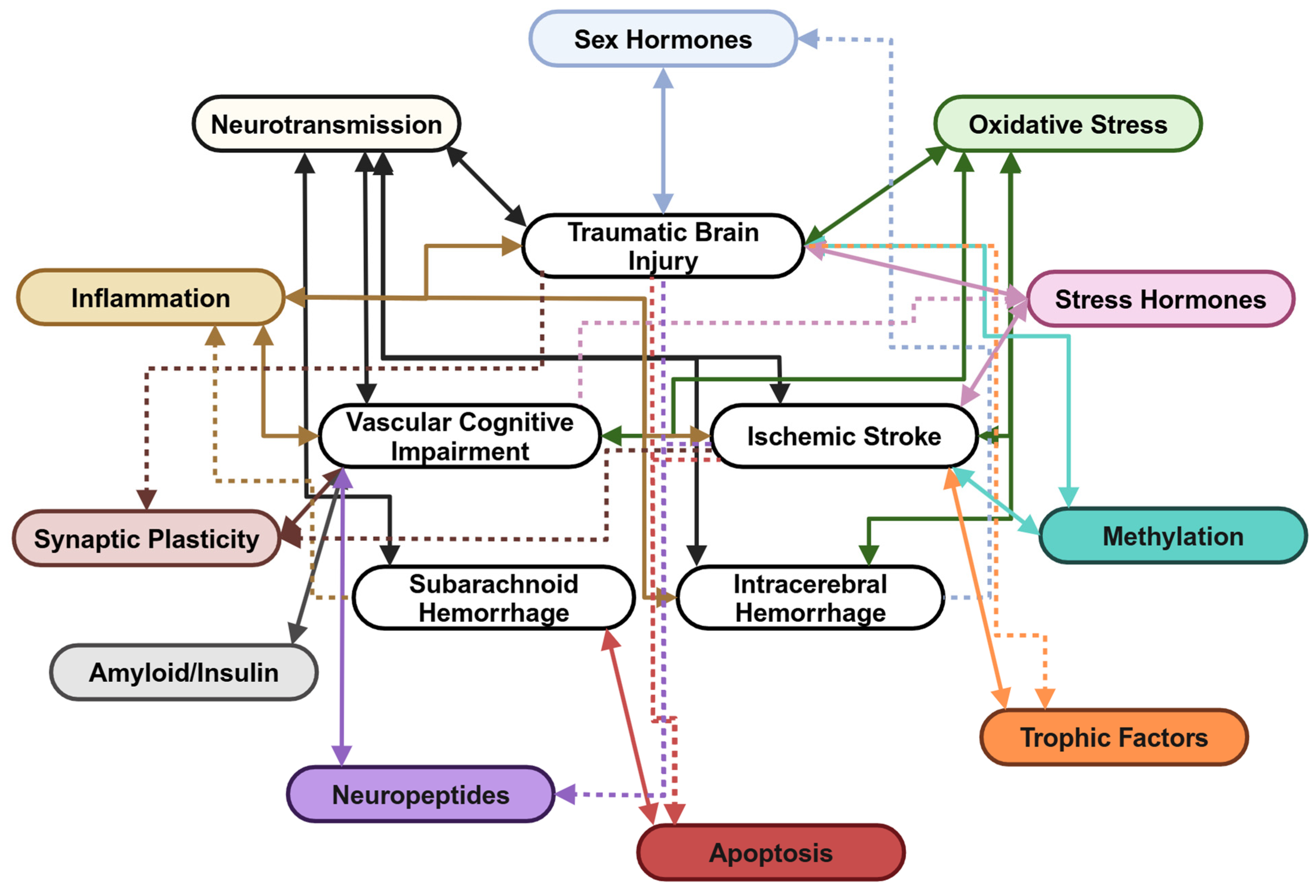 Cells 14 00074 g004 Cells 14 00074 g004