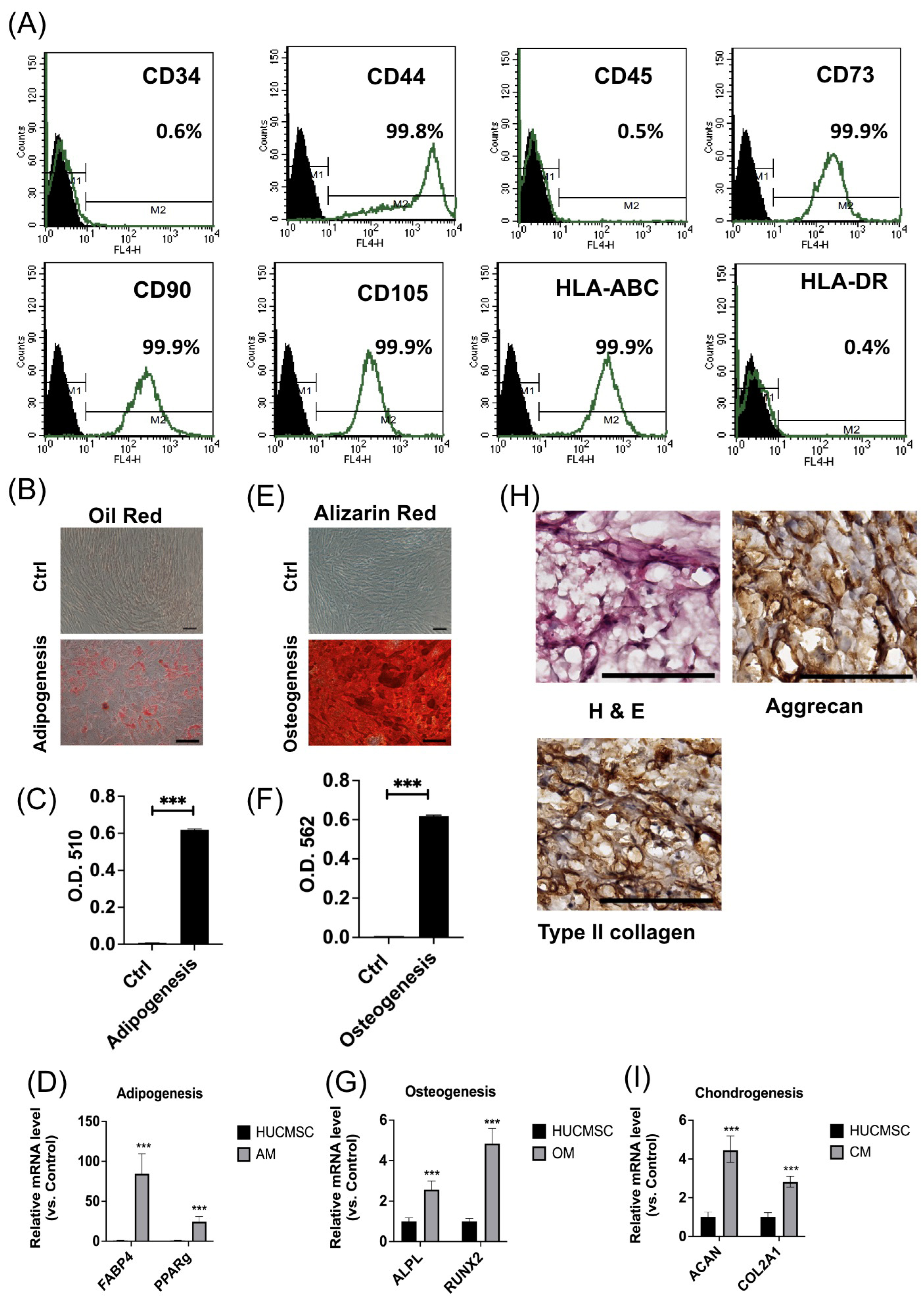 Cells 14 00082 g001 Cells 14 00082 g001