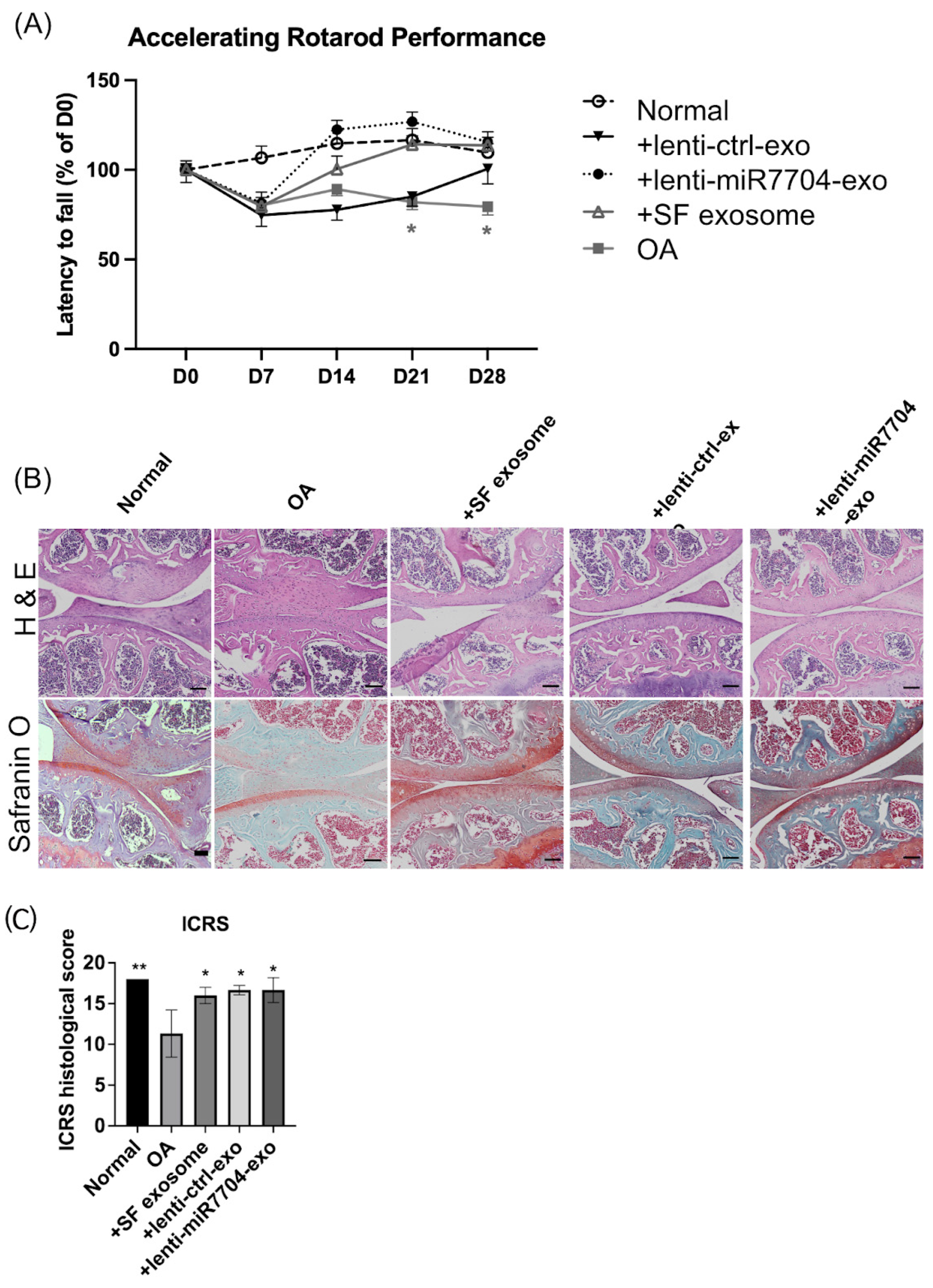 Cells 14 00082 g004 Cells 14 00082 g004