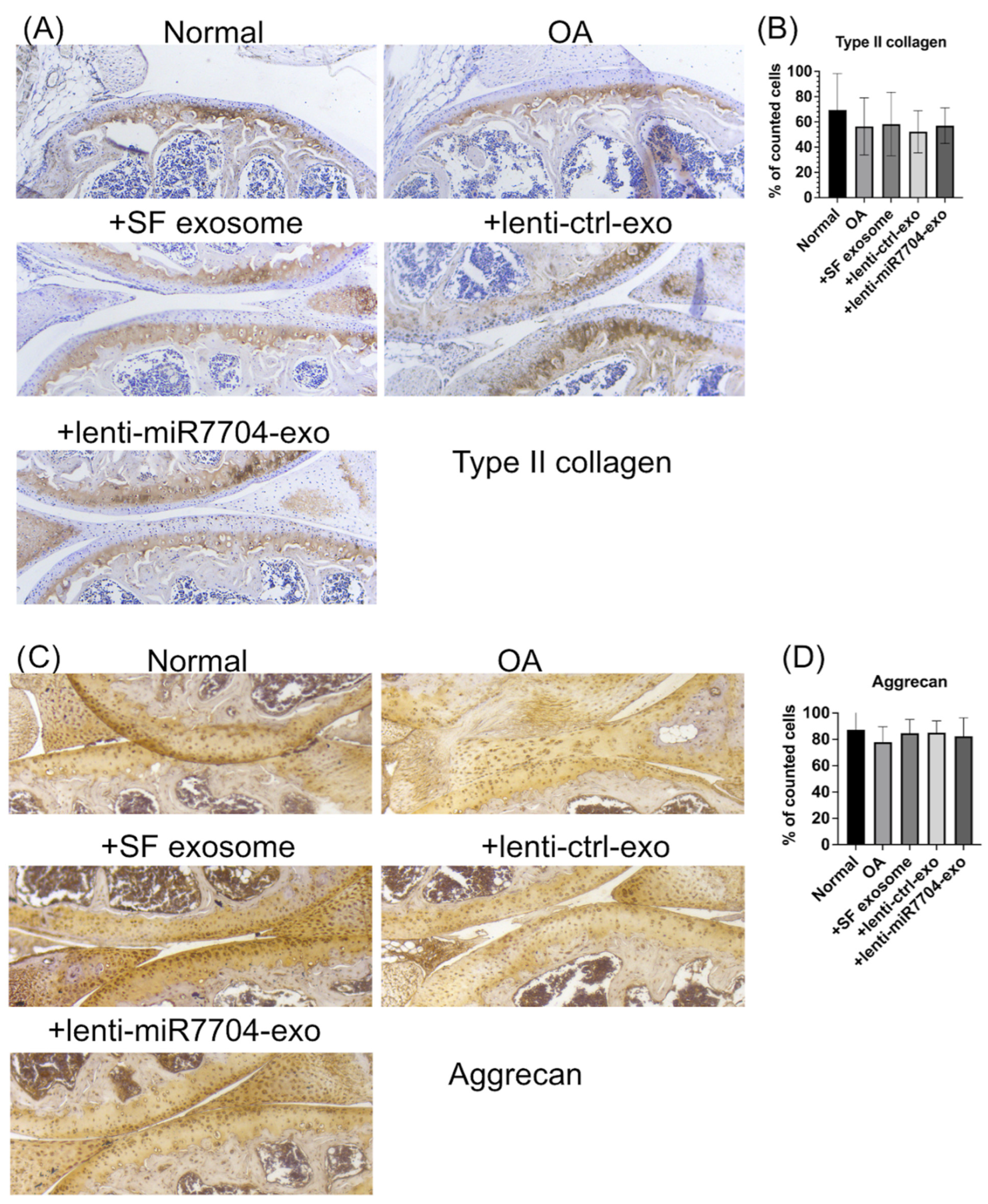 Cells 14 00082 g005 Cells 14 00082 g005