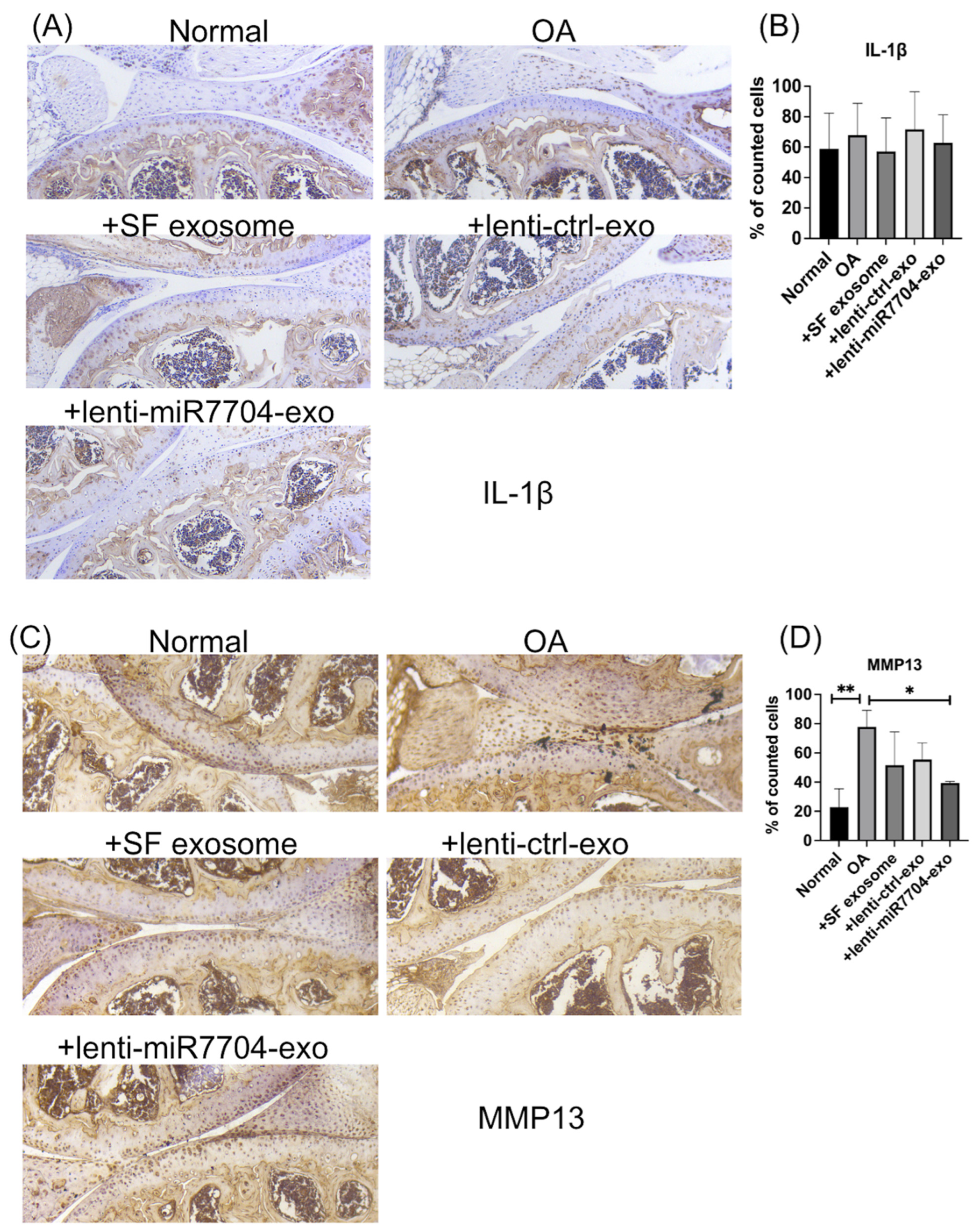Cells 14 00082 g006 Cells 14 00082 g006