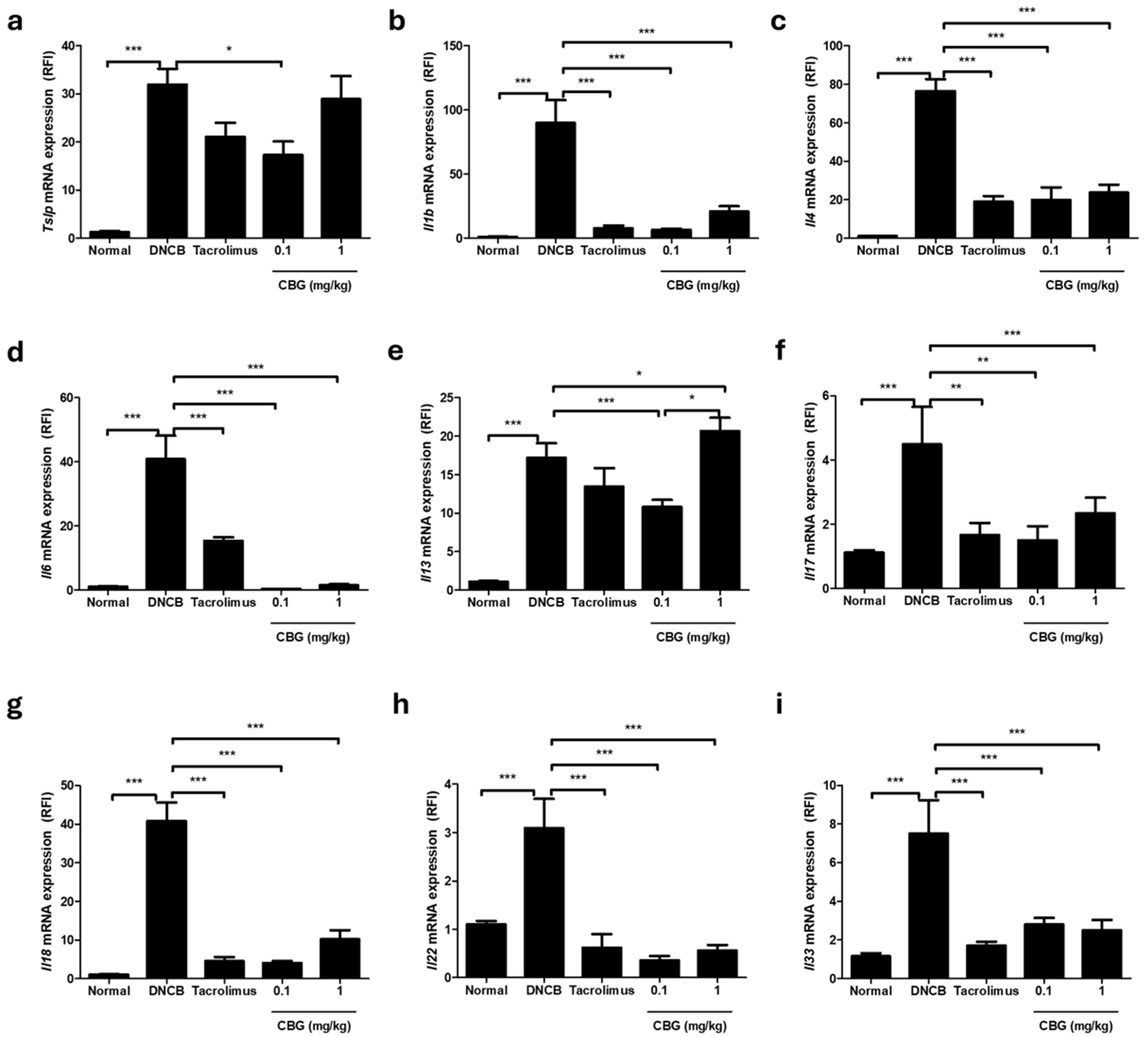 Cells 14 00083 g004 Cells 14 00083 g004