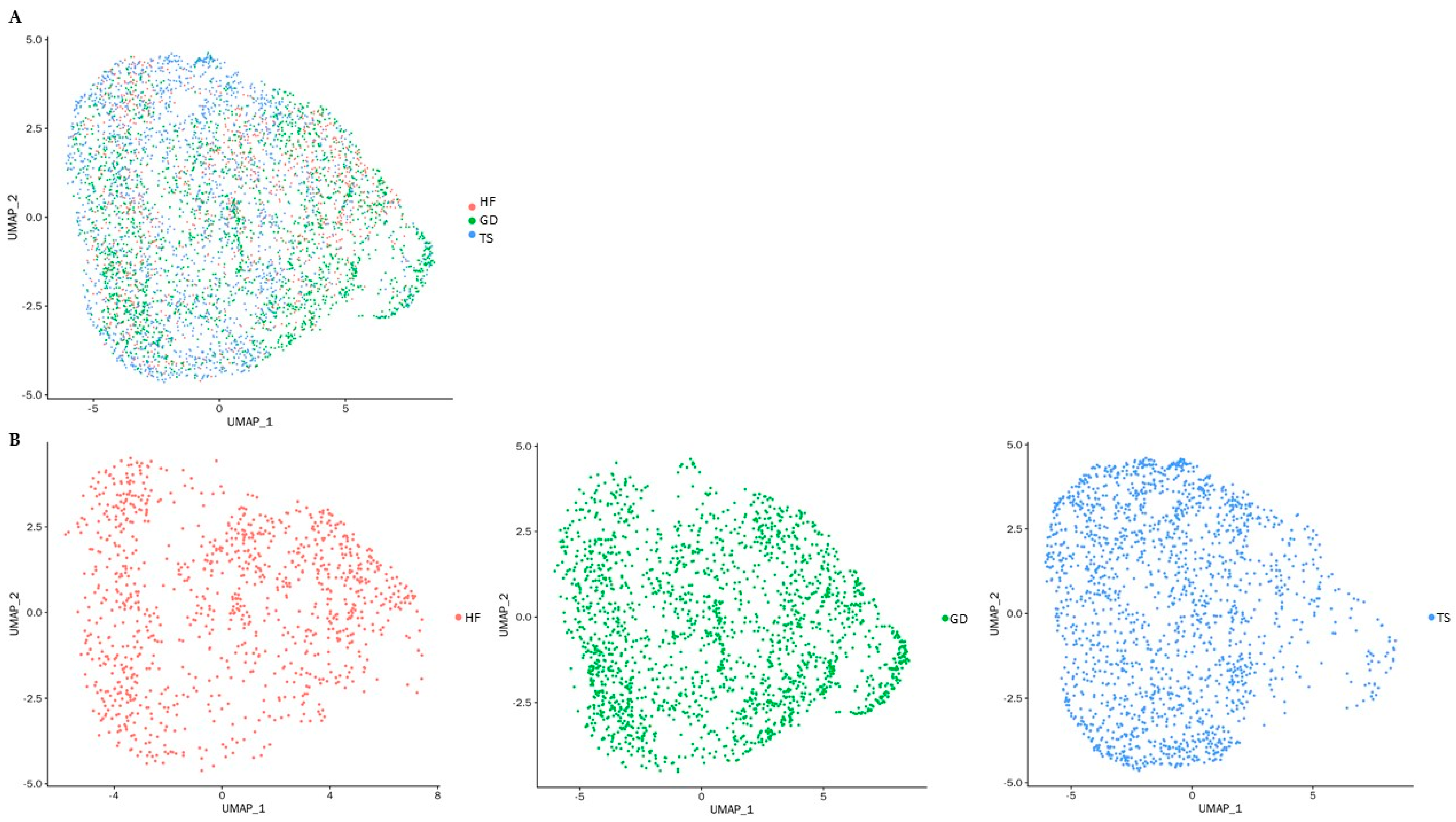 Cells 14 00093 g001 Cells 14 00093 g001