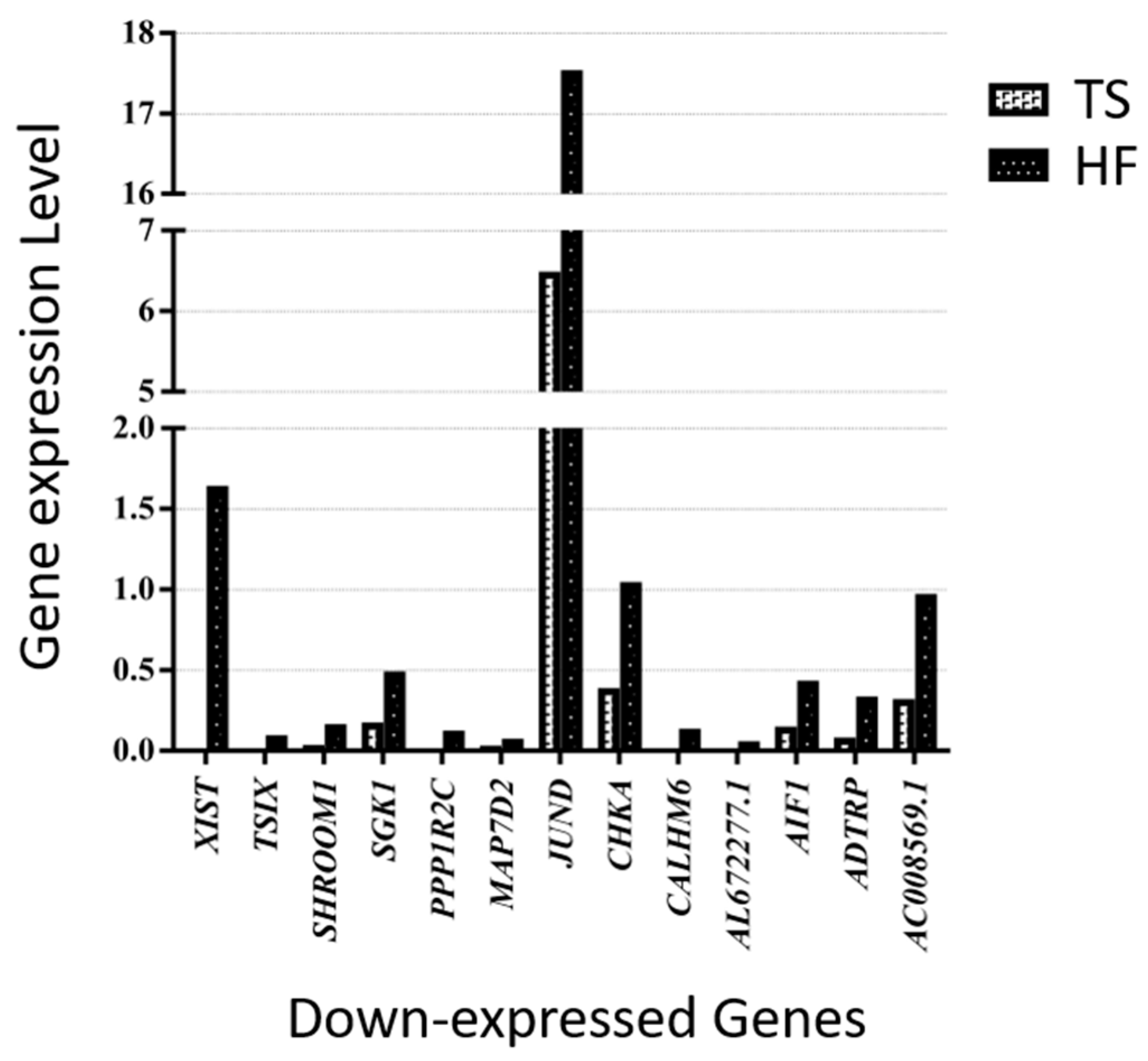 Cells 14 00093 g004 Cells 14 00093 g004