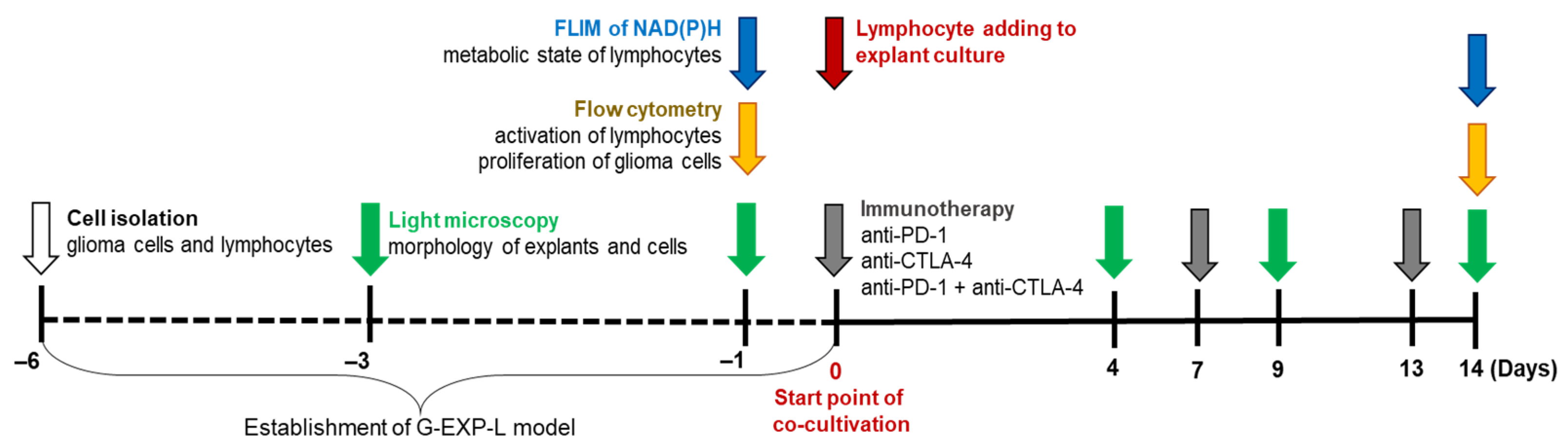 Cells 14 00097 sch001