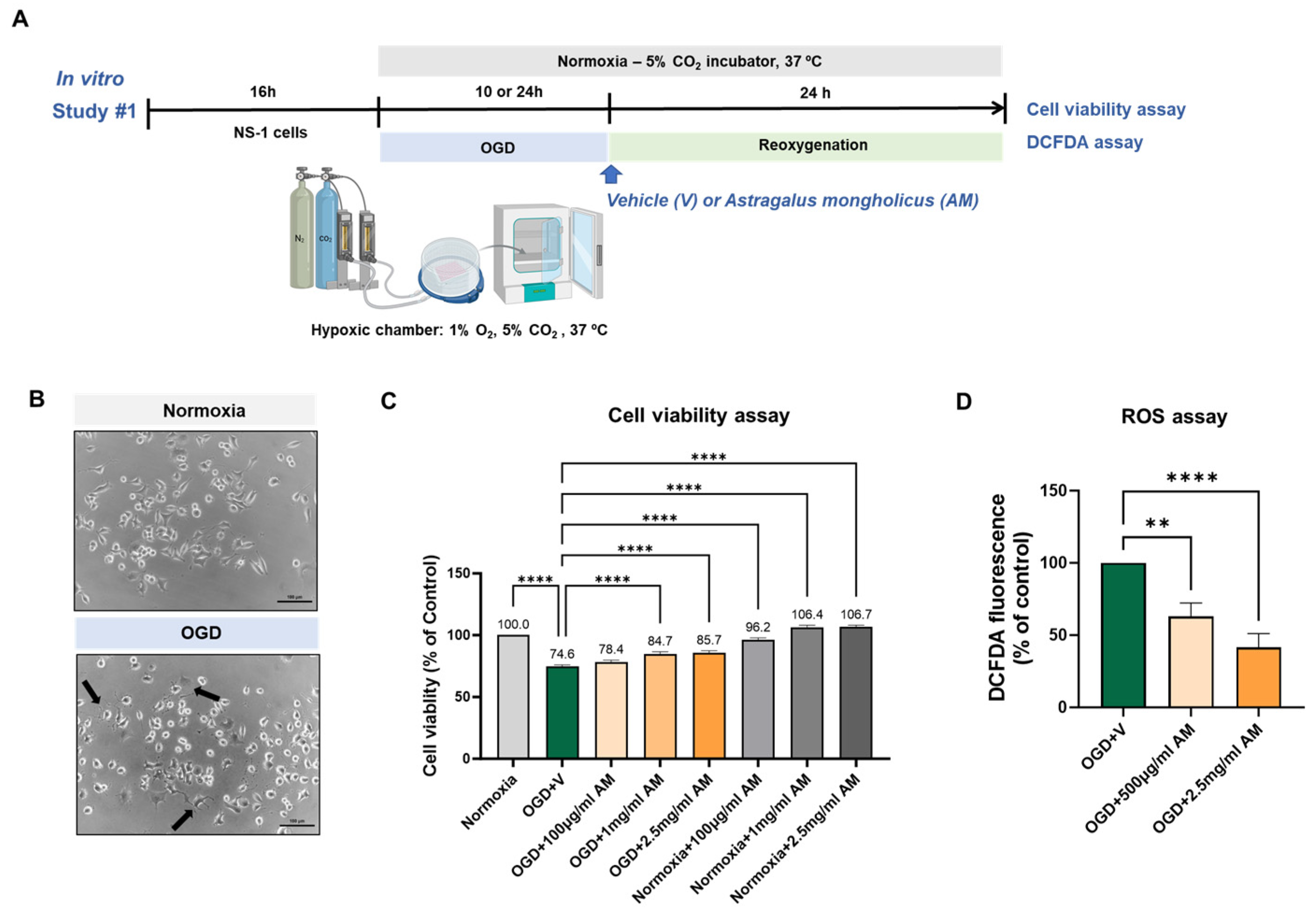 Cells 14 00117 g001 Cells 14 00117 g001
