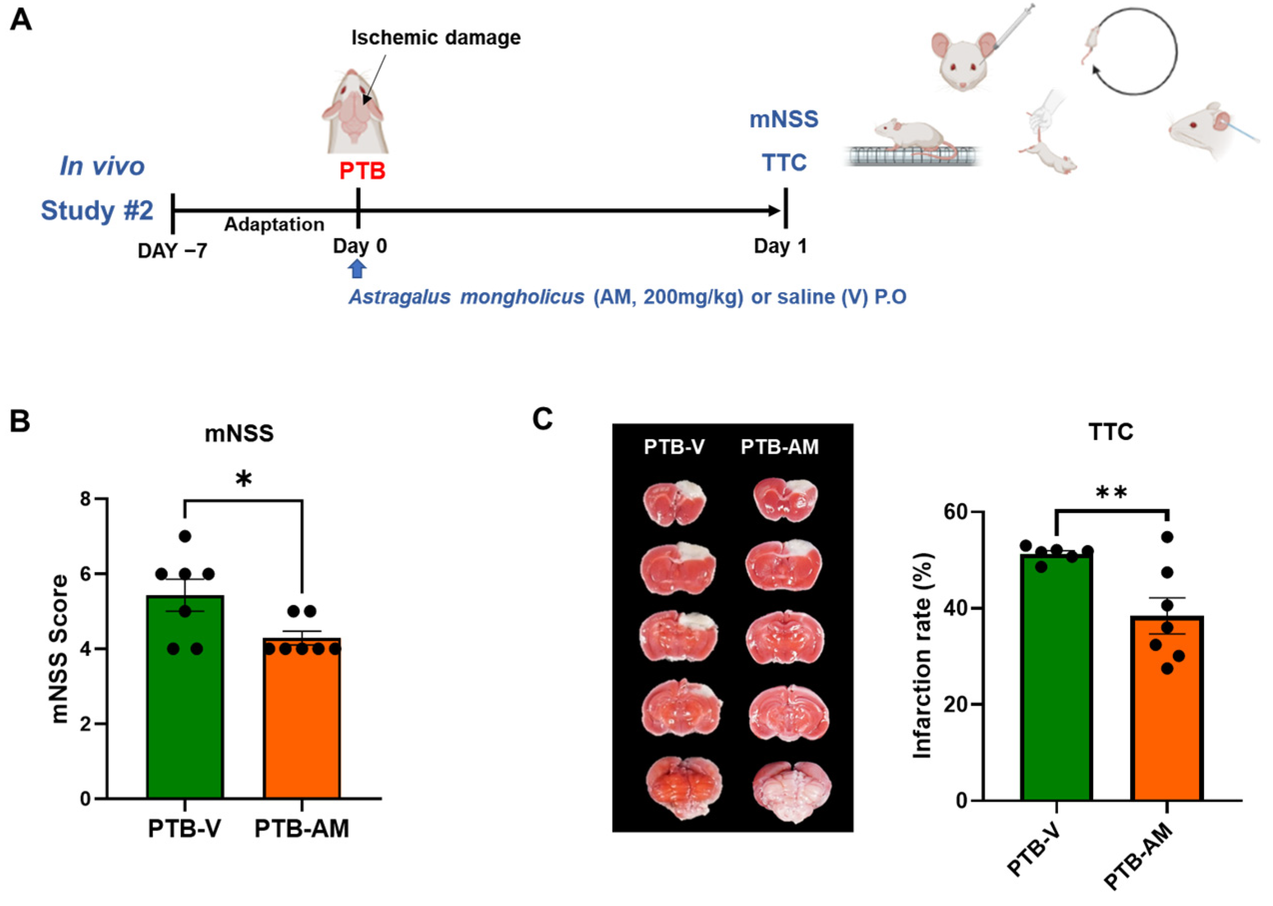 Cells 14 00117 g002 Cells 14 00117 g002