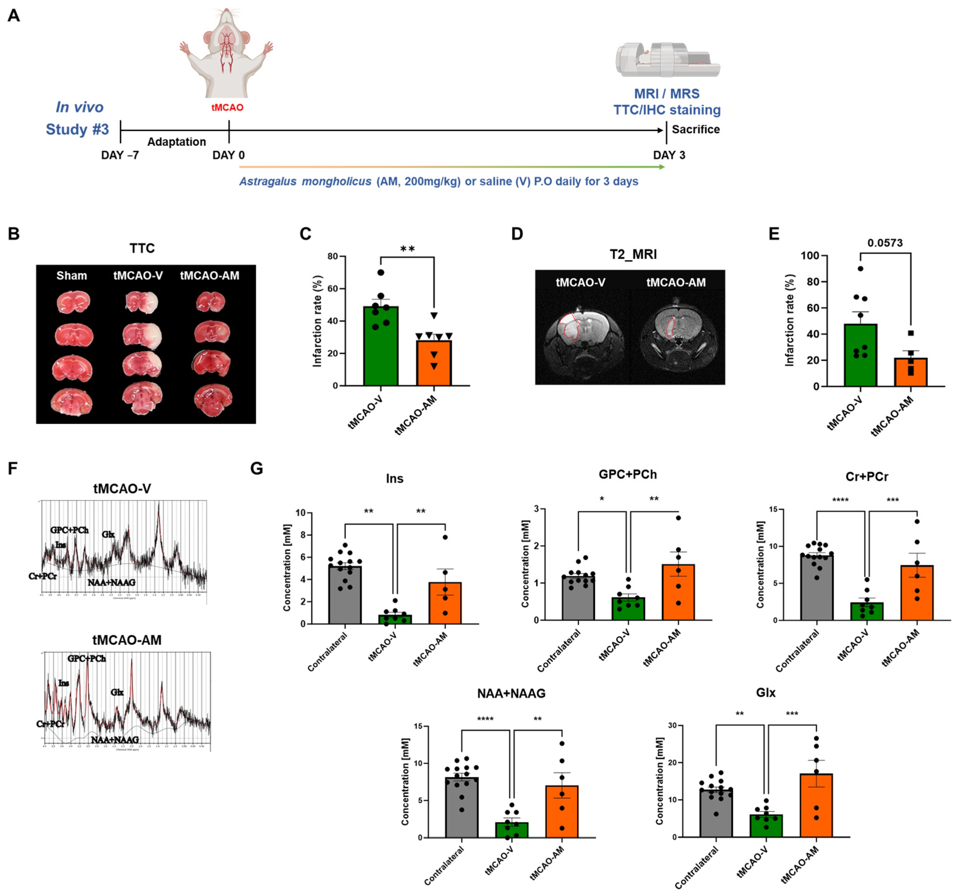 Cells 14 00117 g003 Cells 14 00117 g003