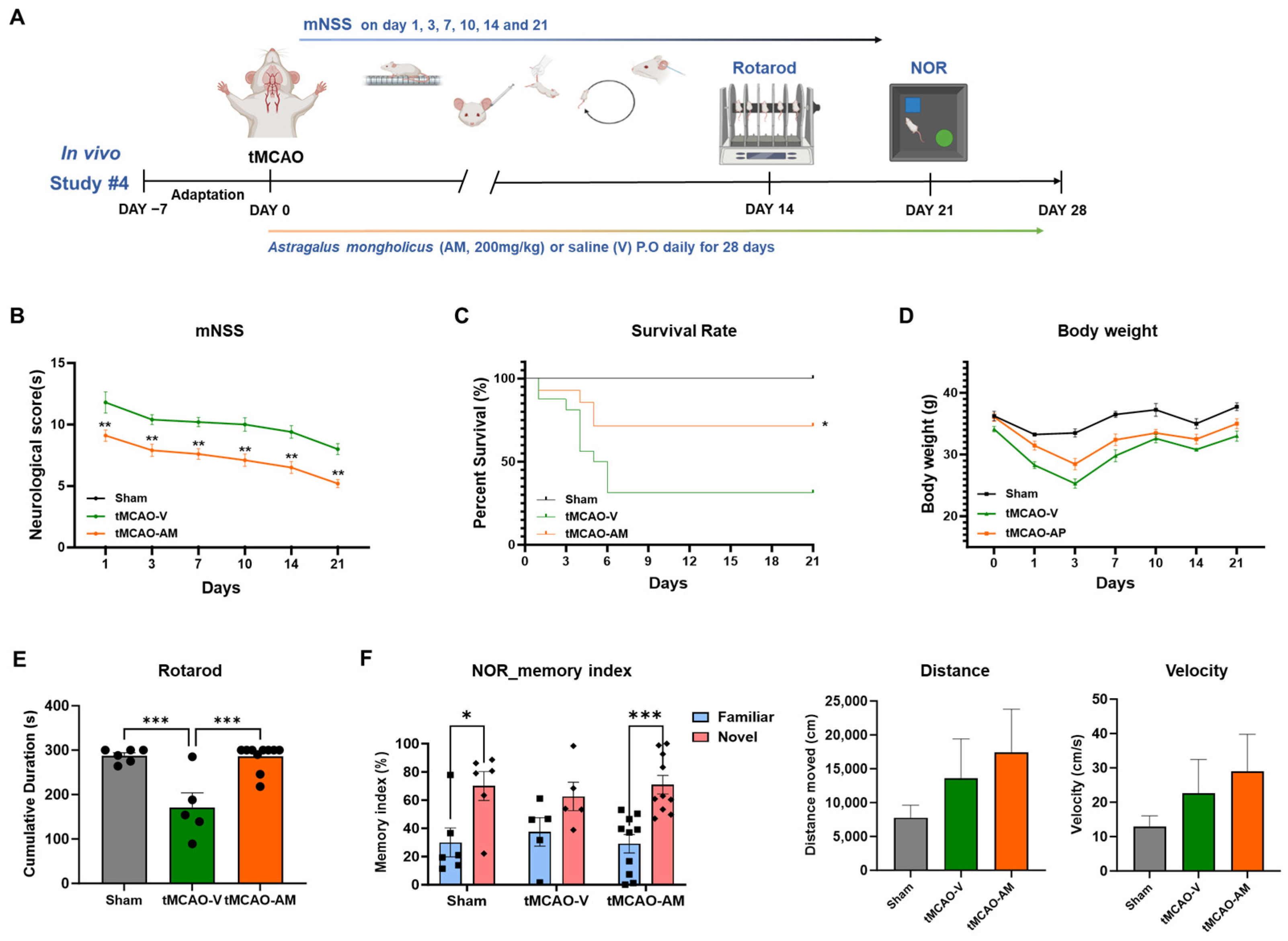 Cells 14 00117 g005 Cells 14 00117 g005