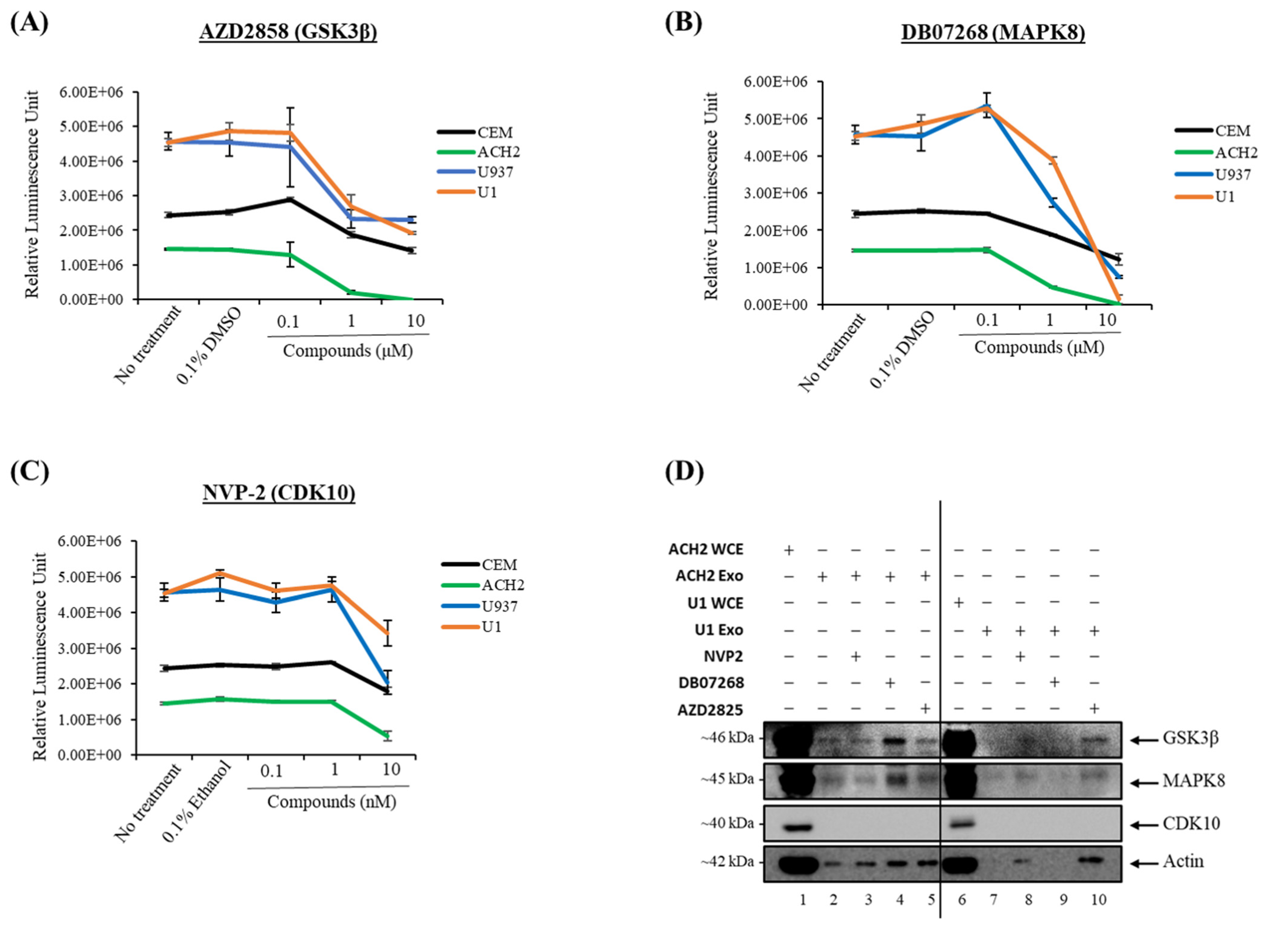 Cells 14 00119 g007 Cells 14 00119 g007