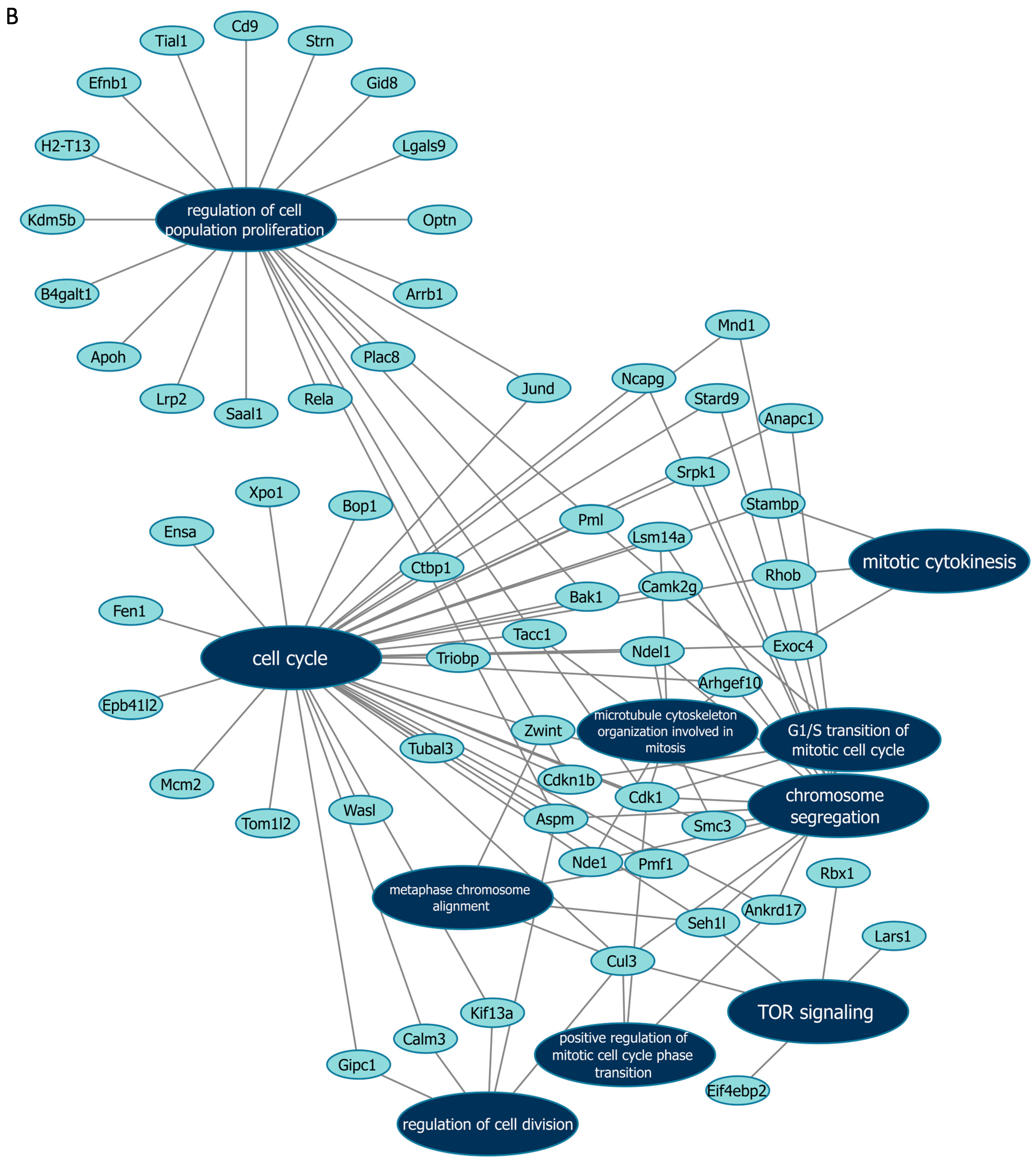 Cells 14 00125 g006b