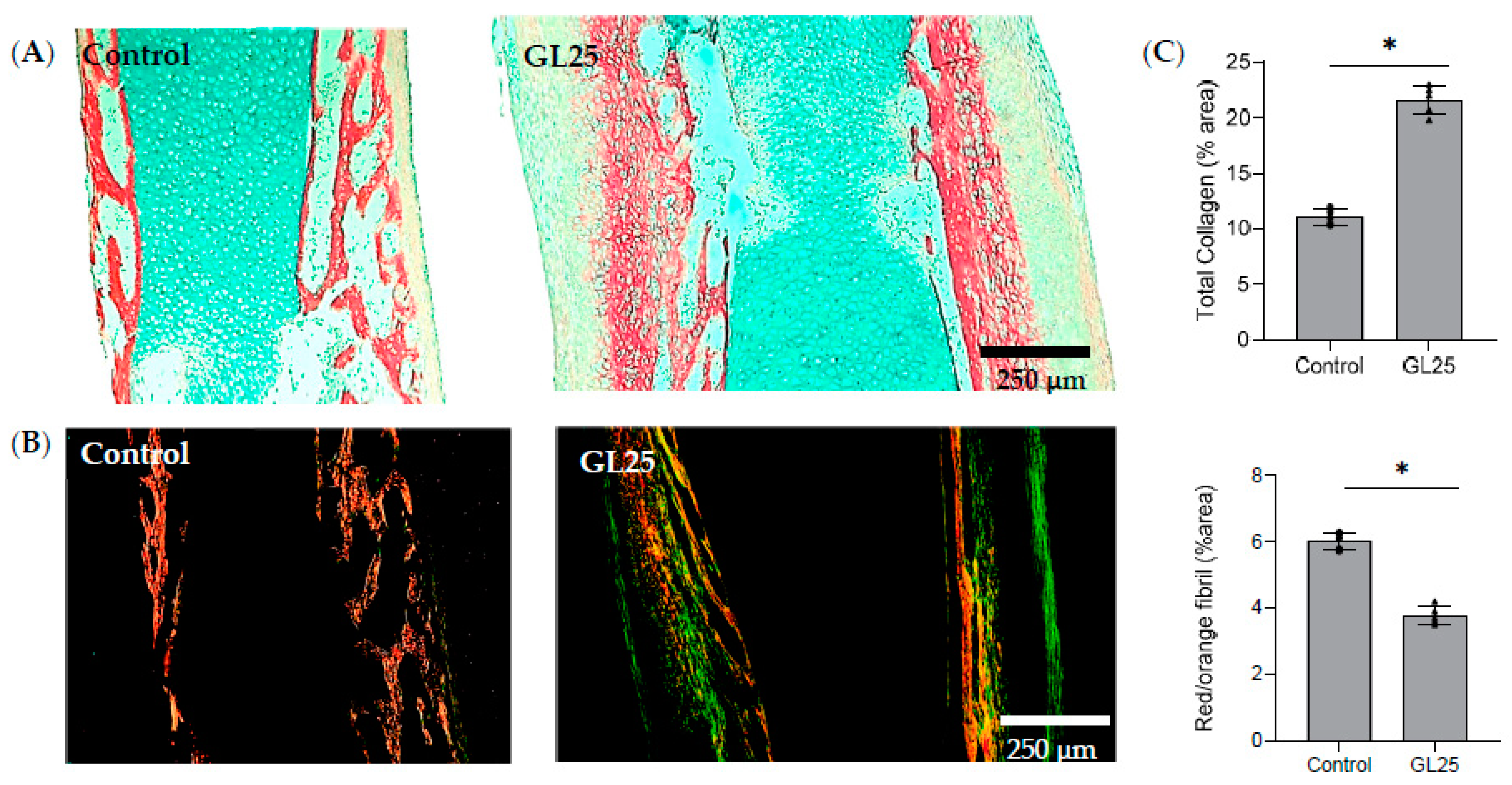 Cells 14 00130 g001 Cells 14 00130 g001