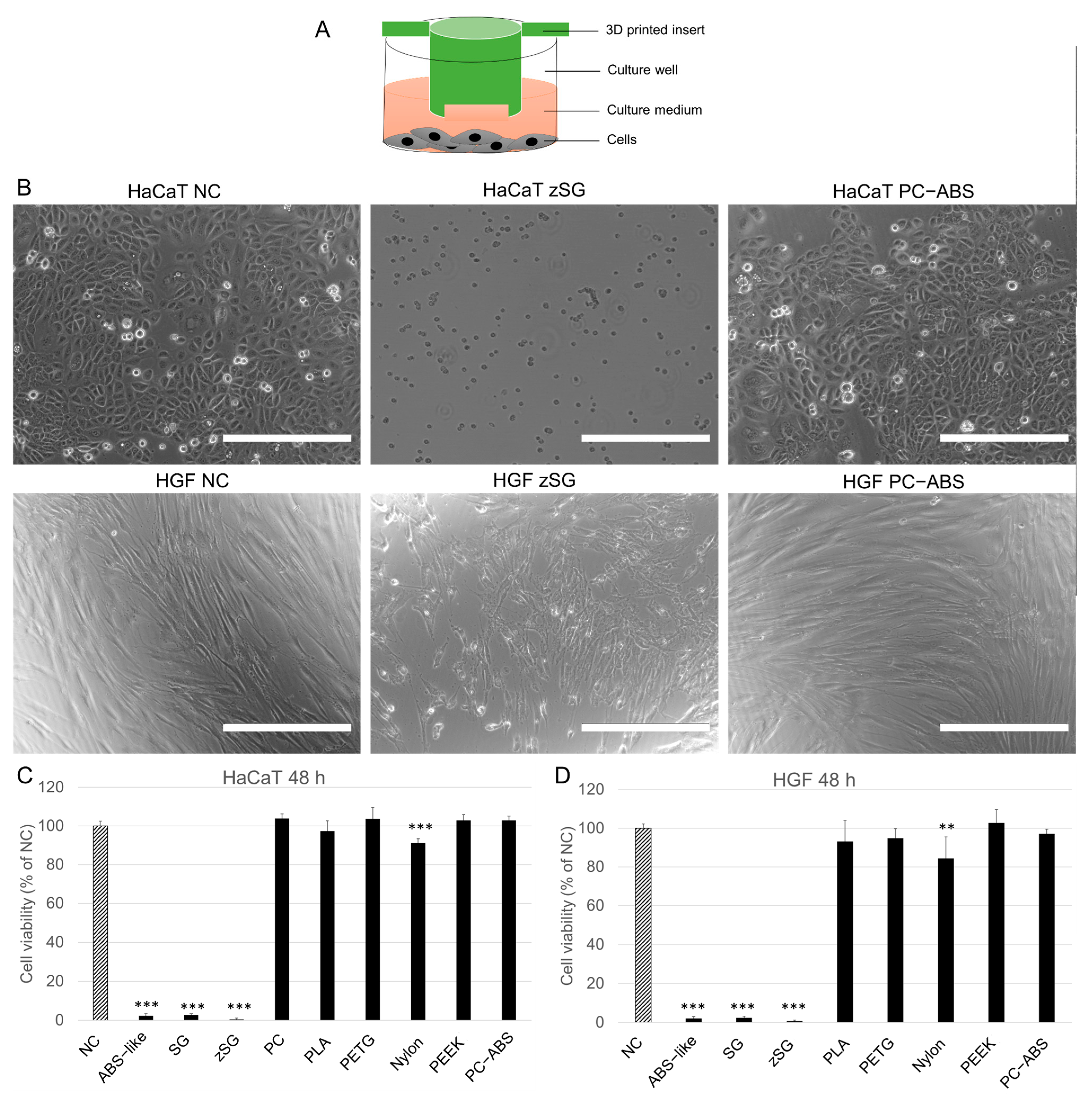 Cells 14 00167 g002 Cells 14 00167 g002