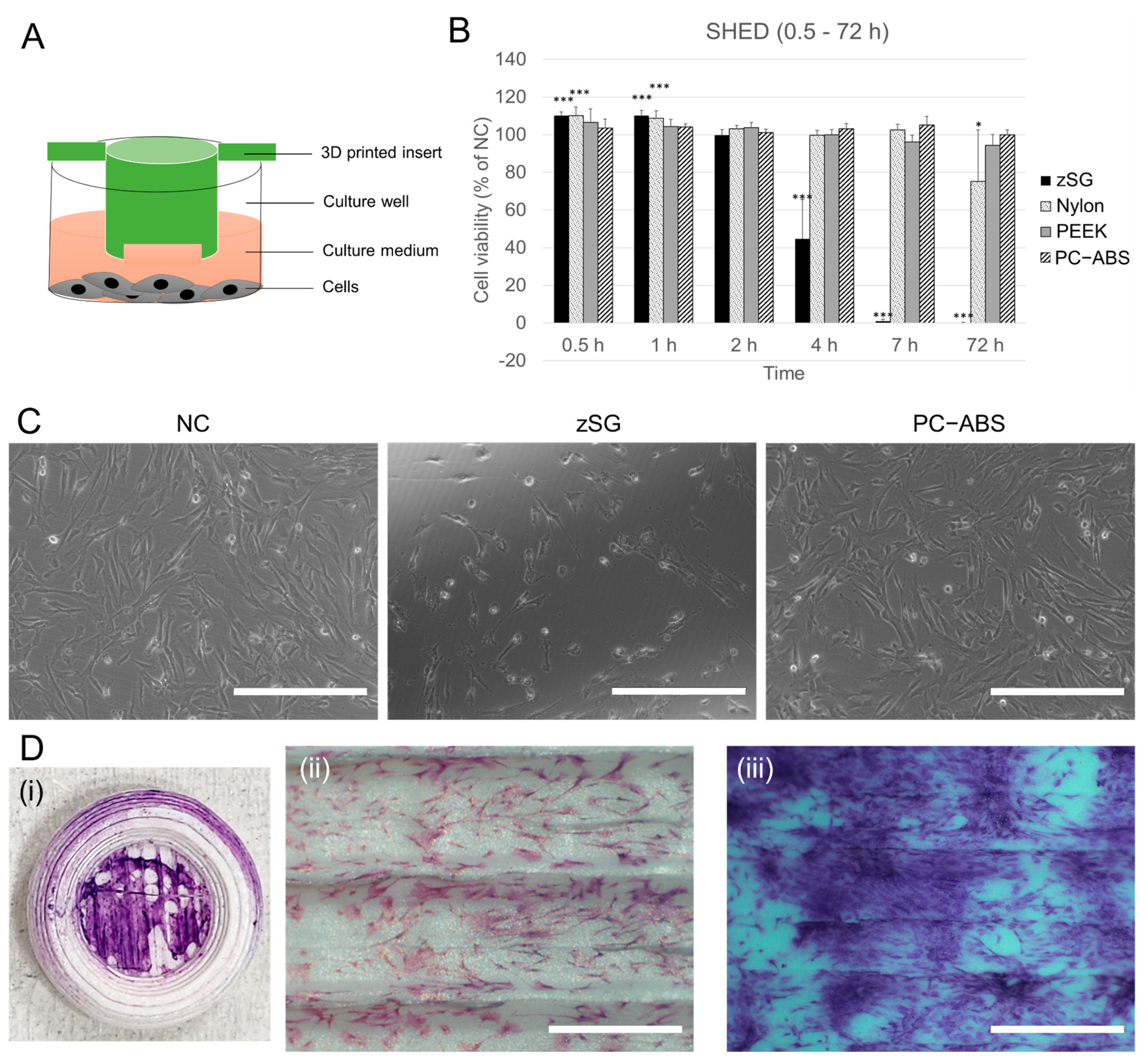 Cells 14 00167 g003 Cells 14 00167 g003