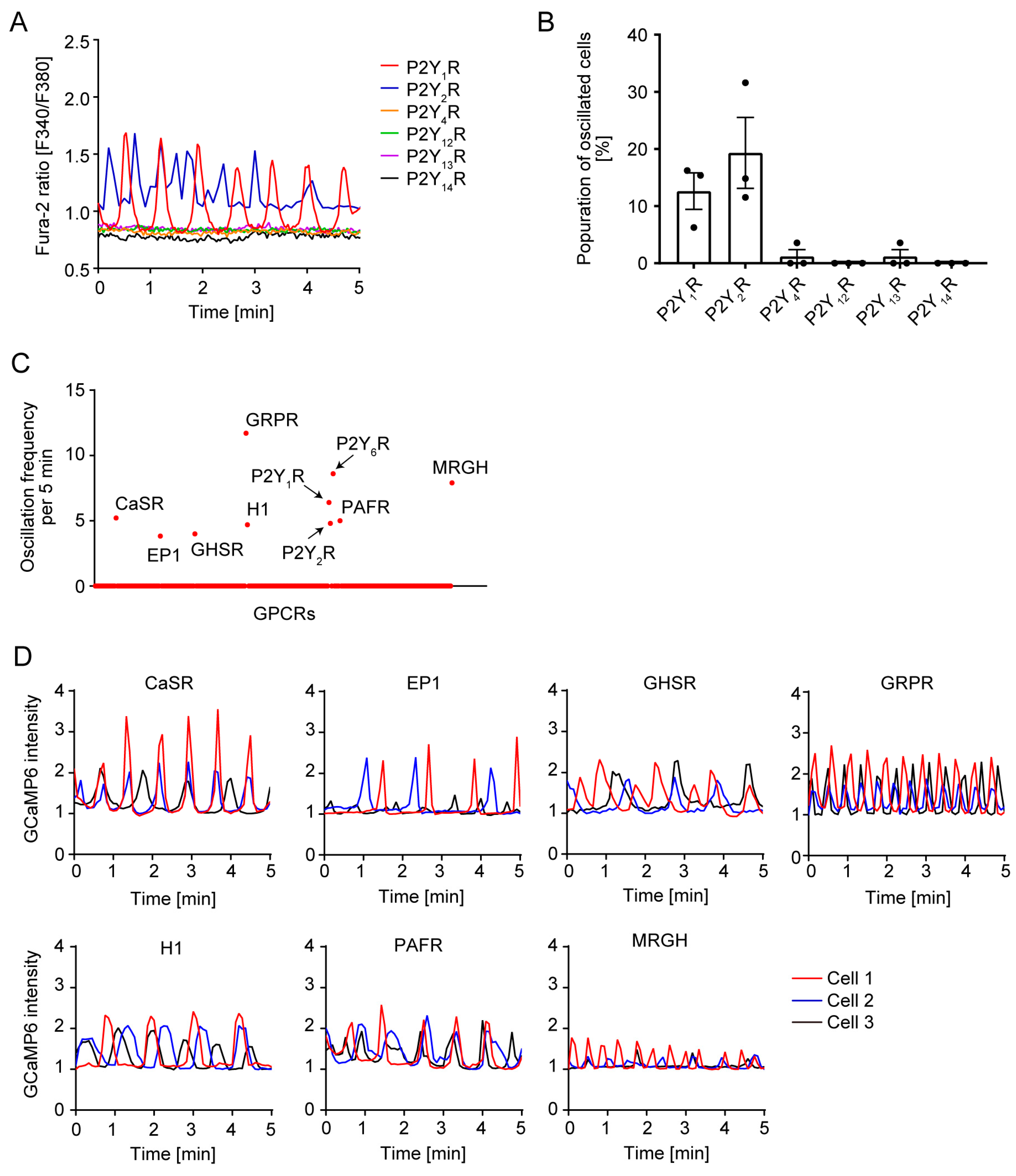 Cells 14 00216 g005 Cells 14 00216 g005