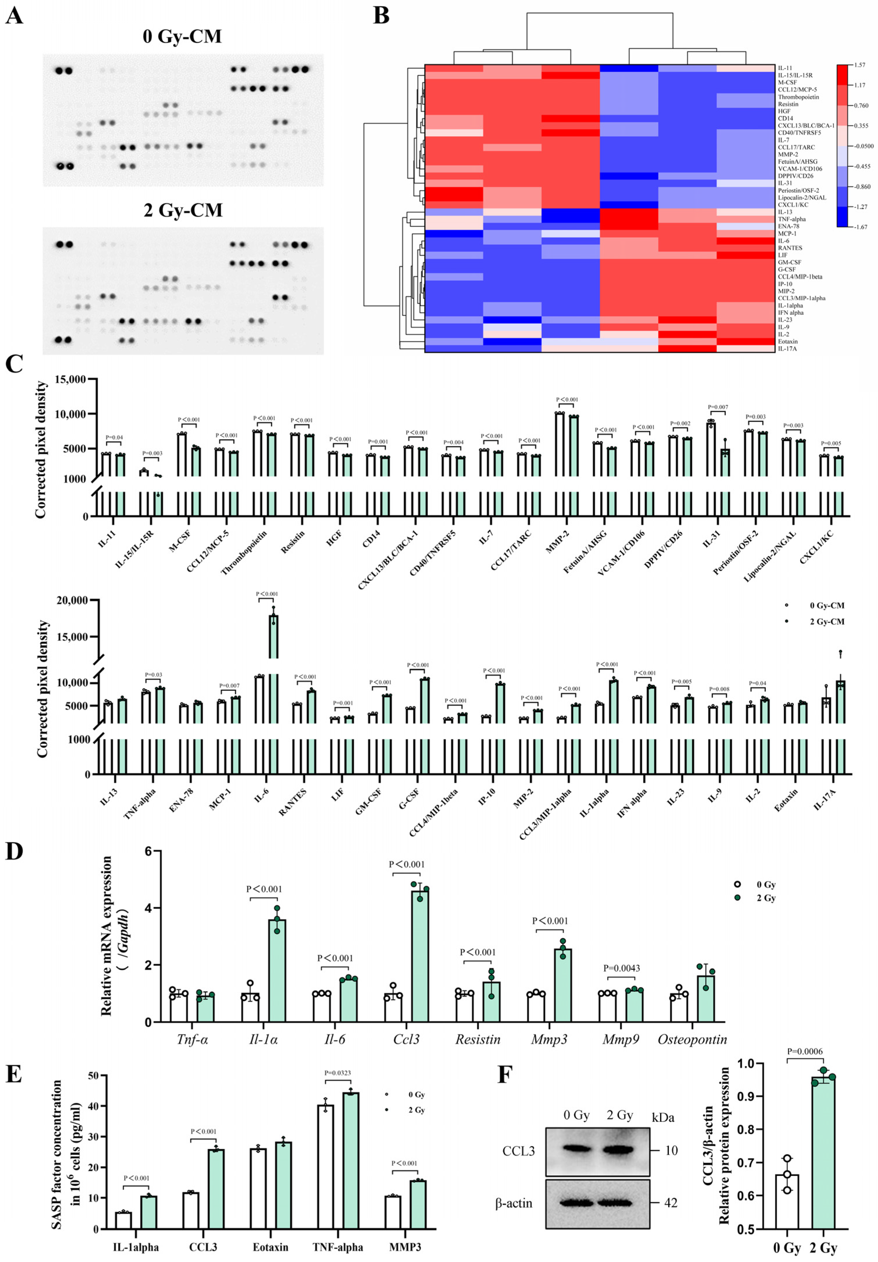 Cells 14 00249 g005 Cells 14 00249 g005