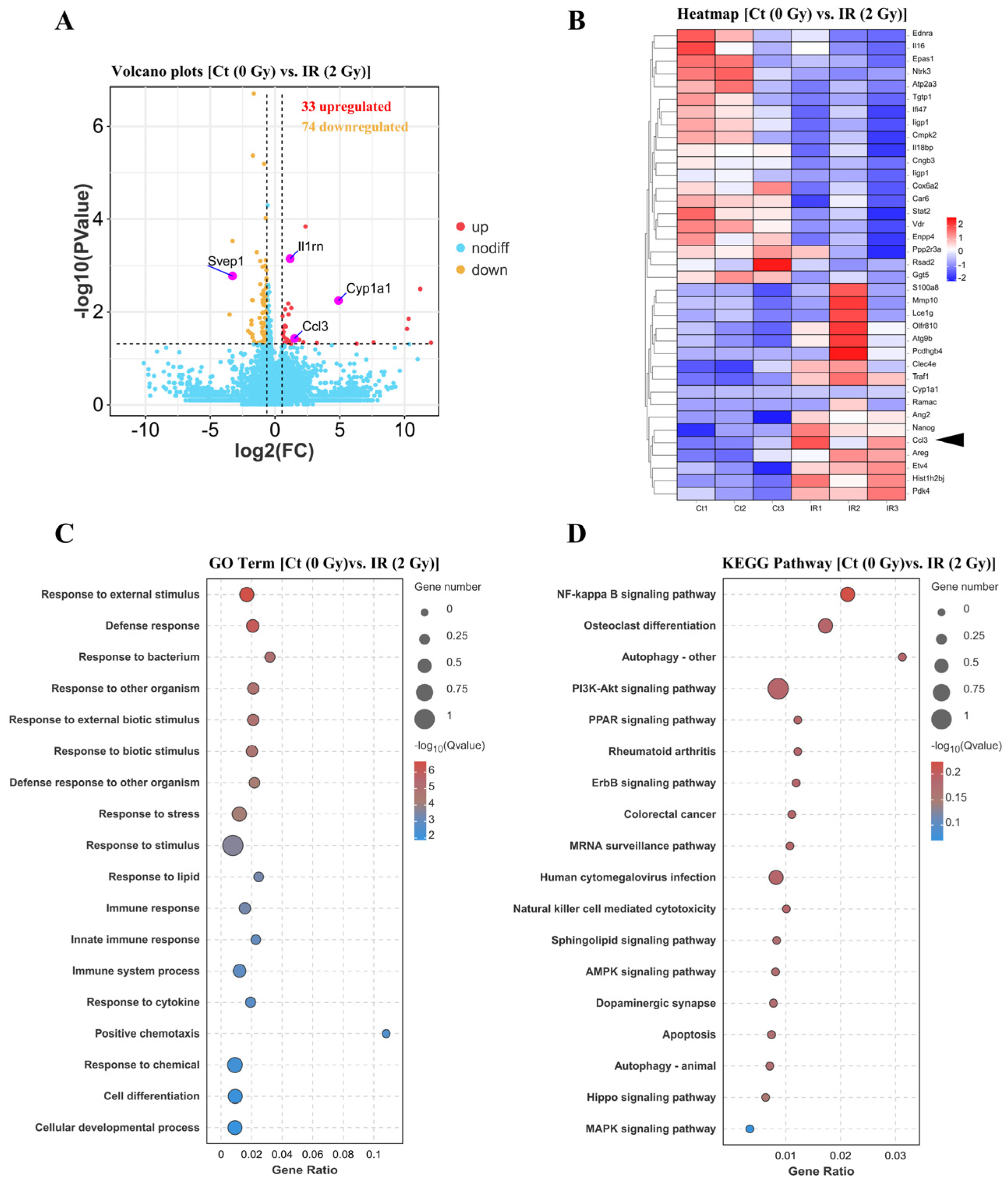 Cells 14 00249 g009 Cells 14 00249 g009