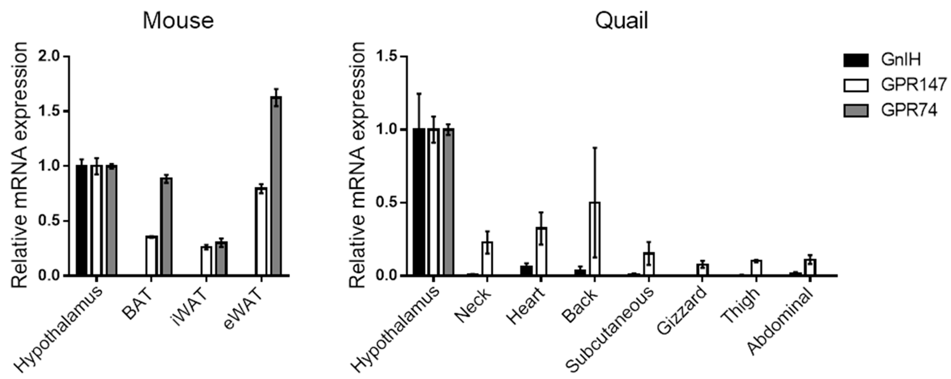 Cells 14 00267 g001 Cells 14 00267 g001
