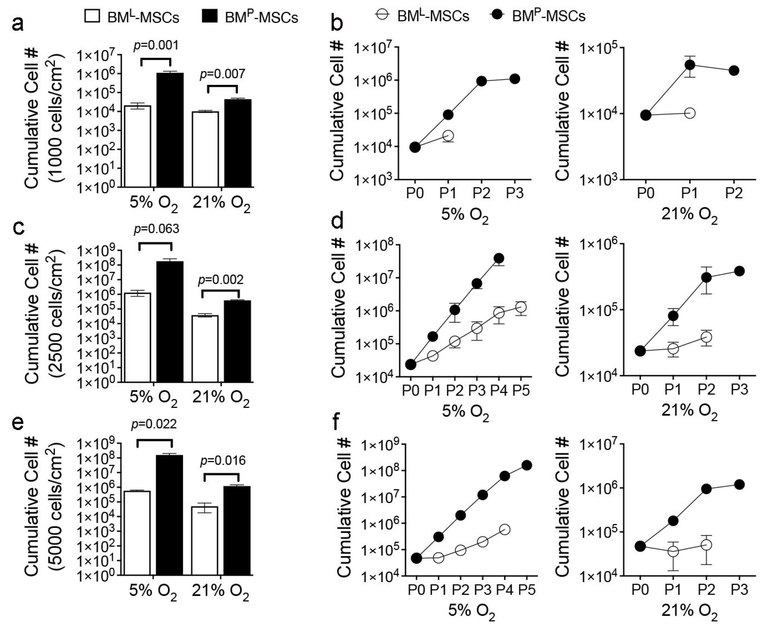 Cells 14 00274 g002 Cells 14 00274 g002