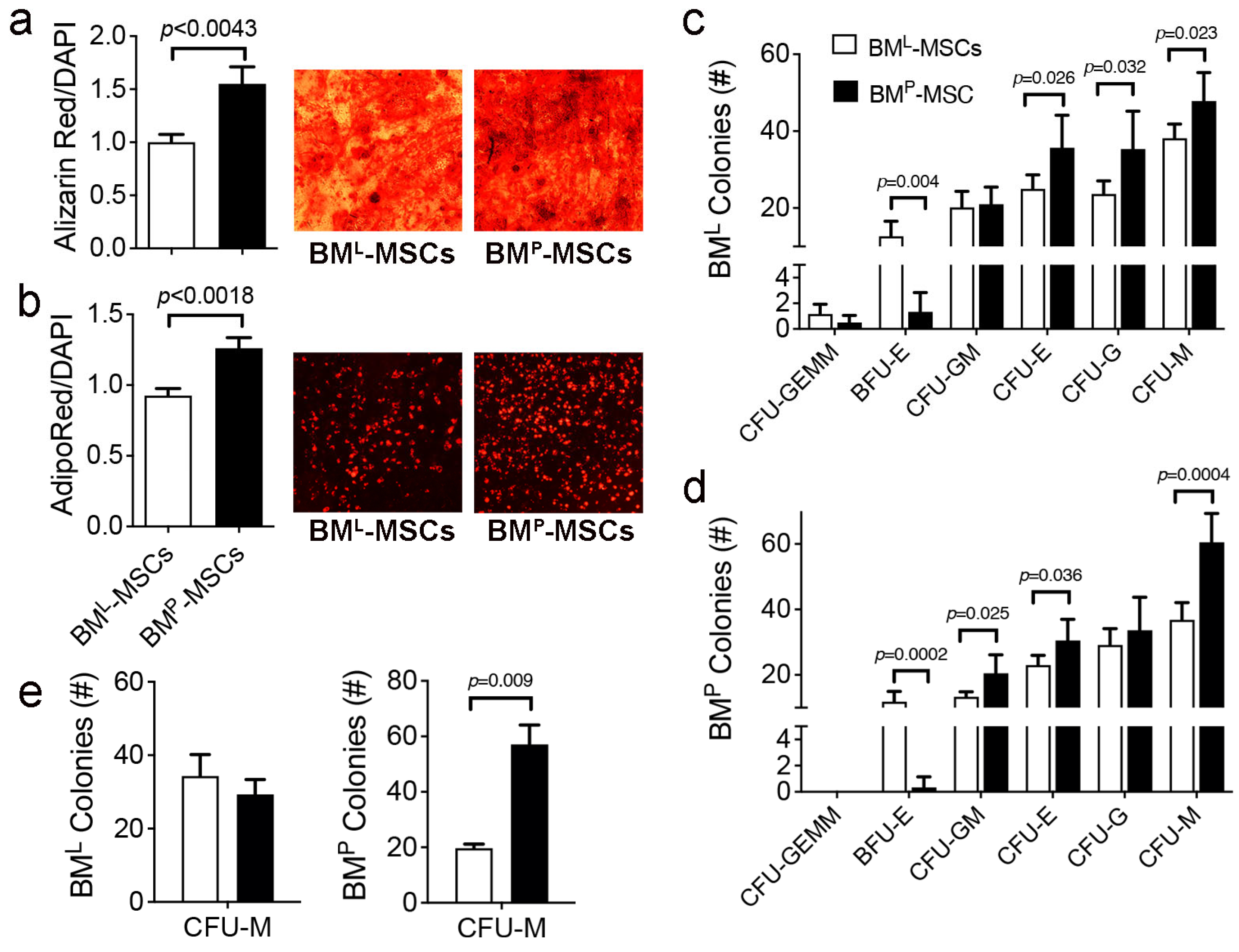 Cells 14 00274 g003 Cells 14 00274 g003