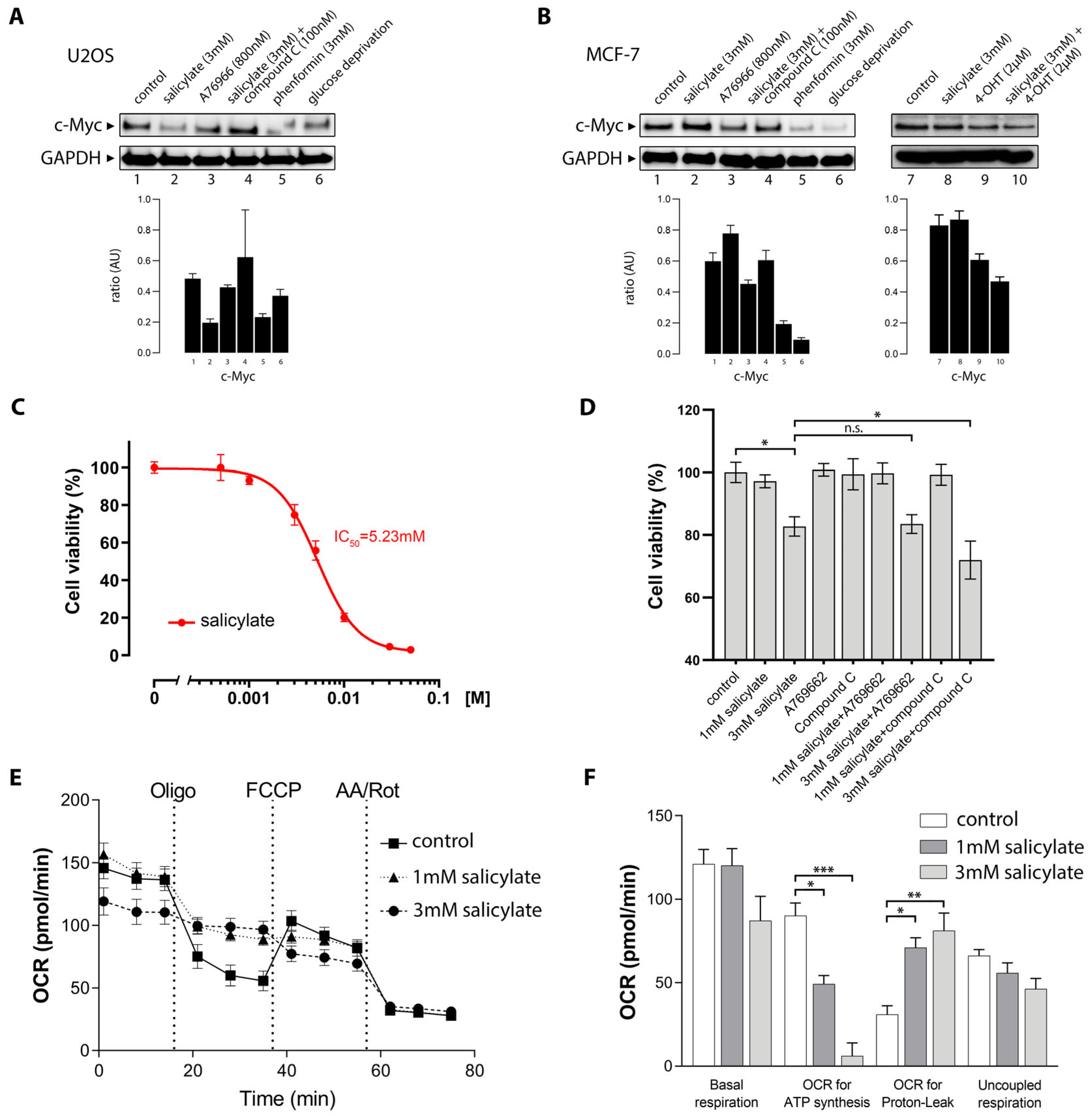 Cells 14 00294 g003 Cells 14 00294 g003