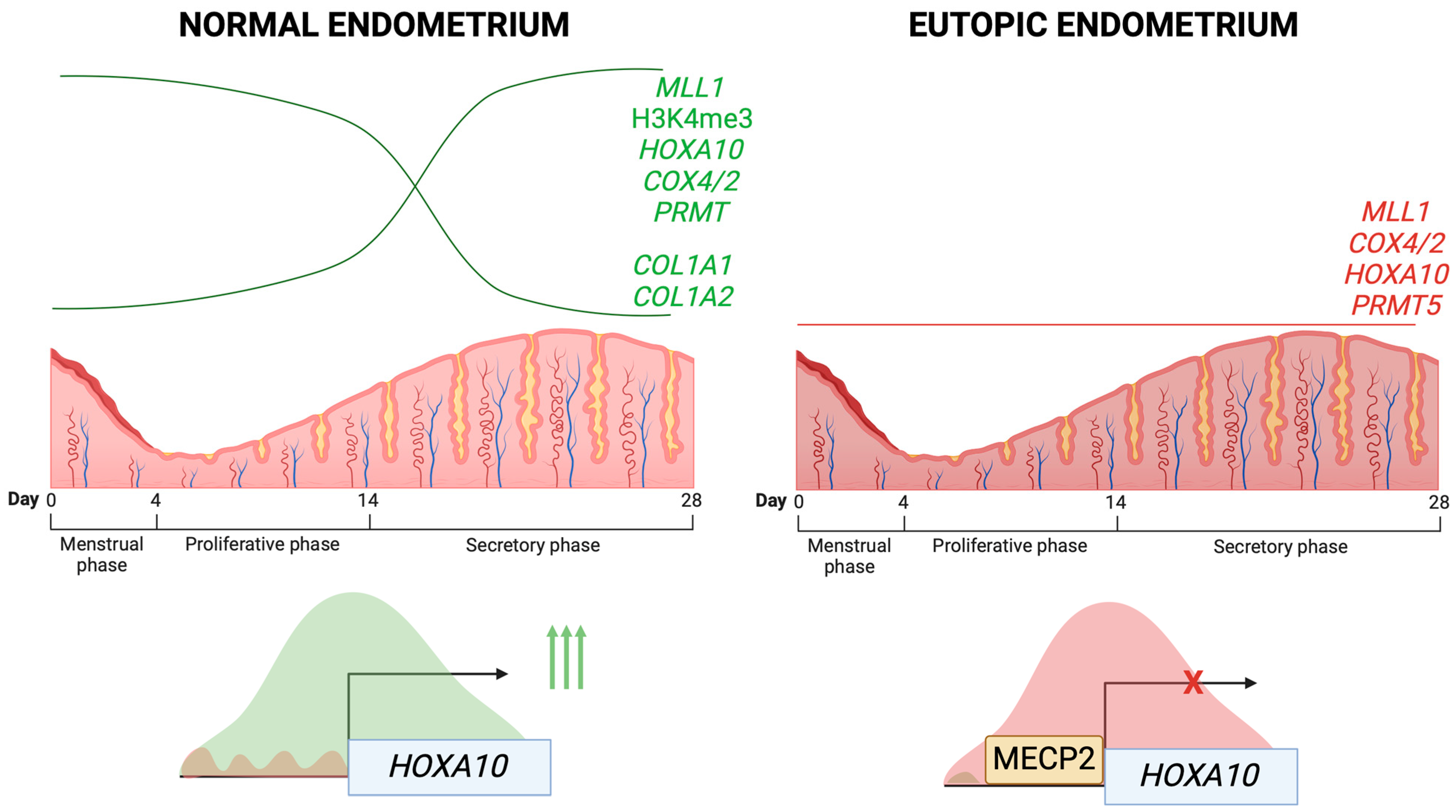 Cells 14 00326 g003 Cells 14 00326 g003