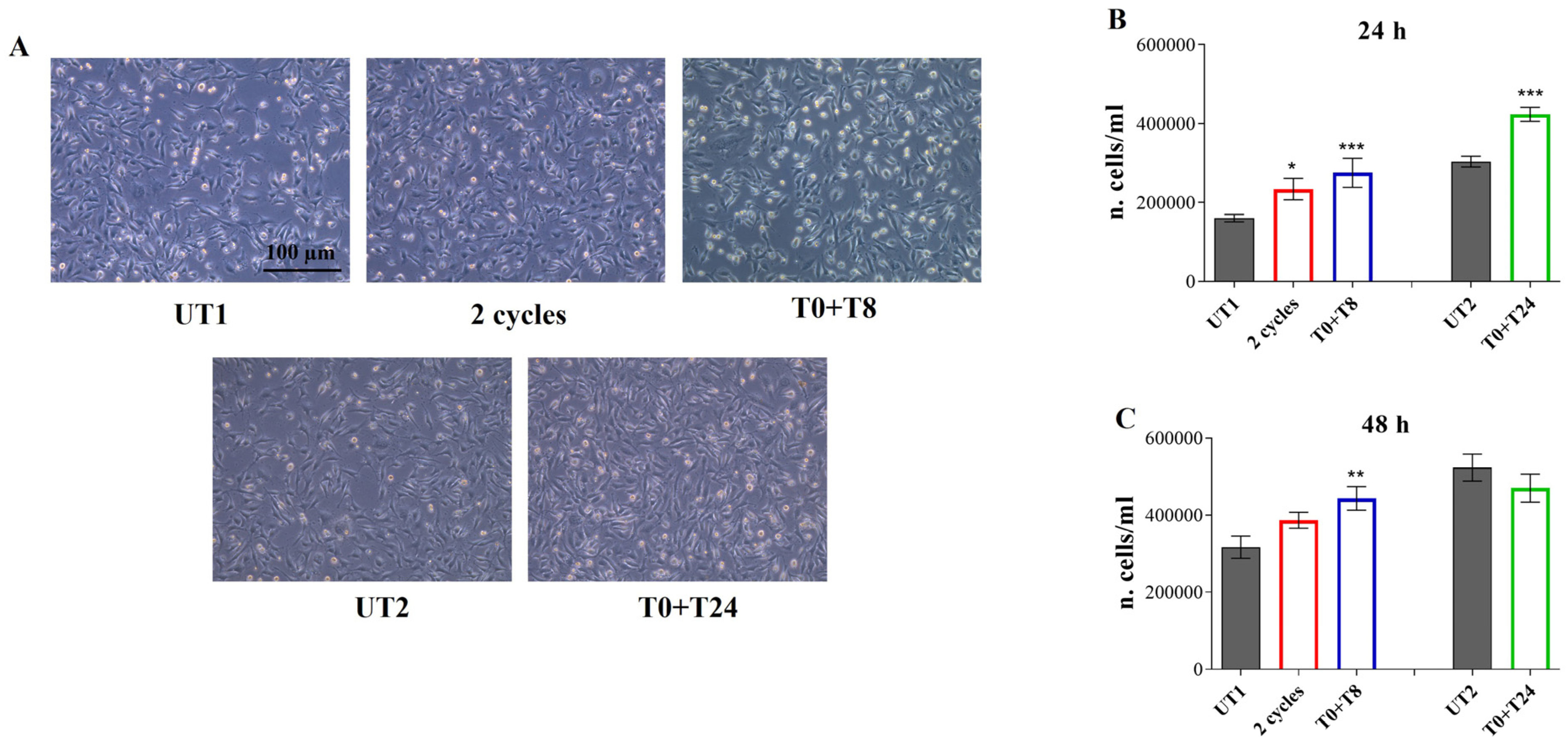 Cells 14 00332 g005 Cells 14 00332 g005