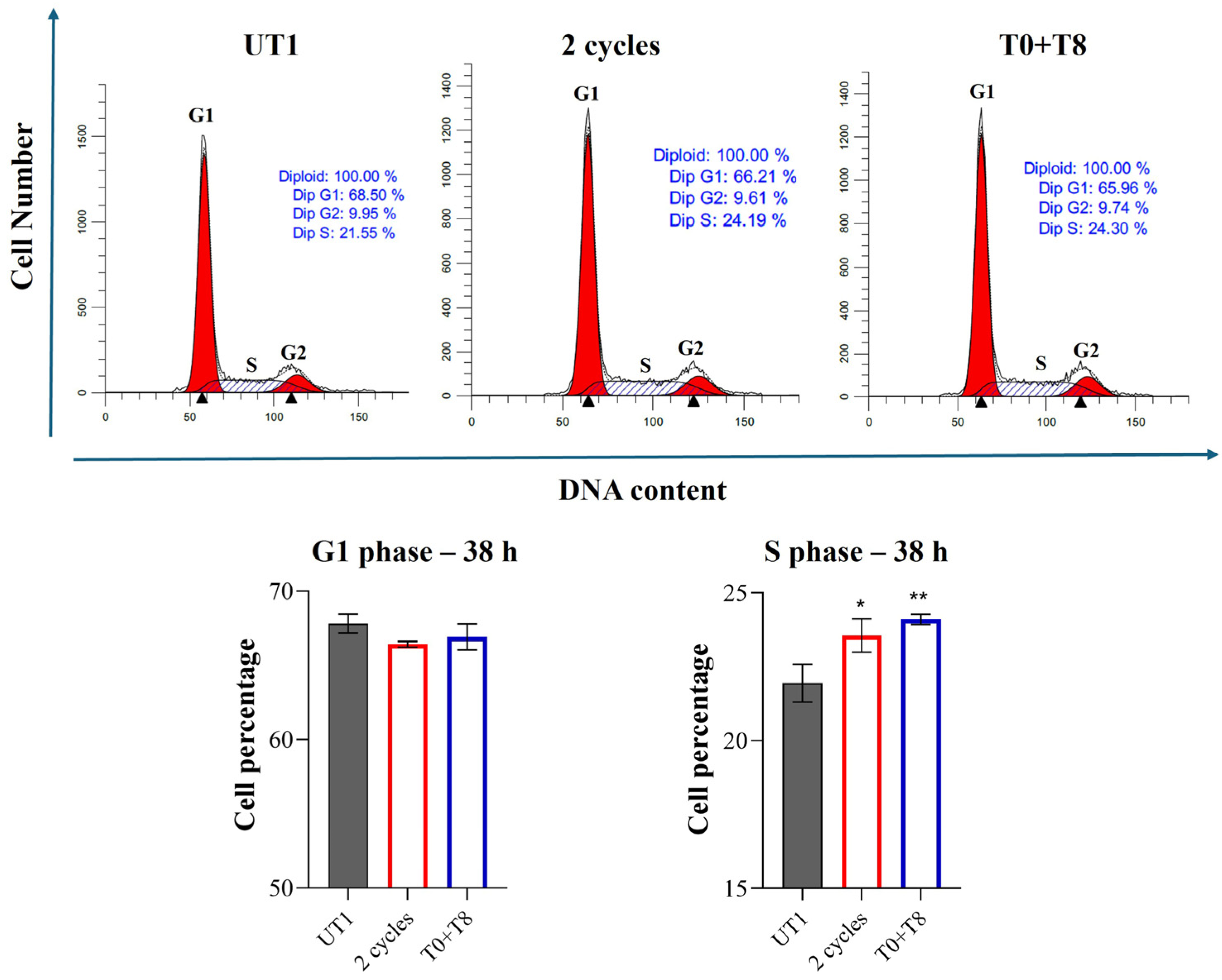 Cells 14 00332 g013 Cells 14 00332 g013