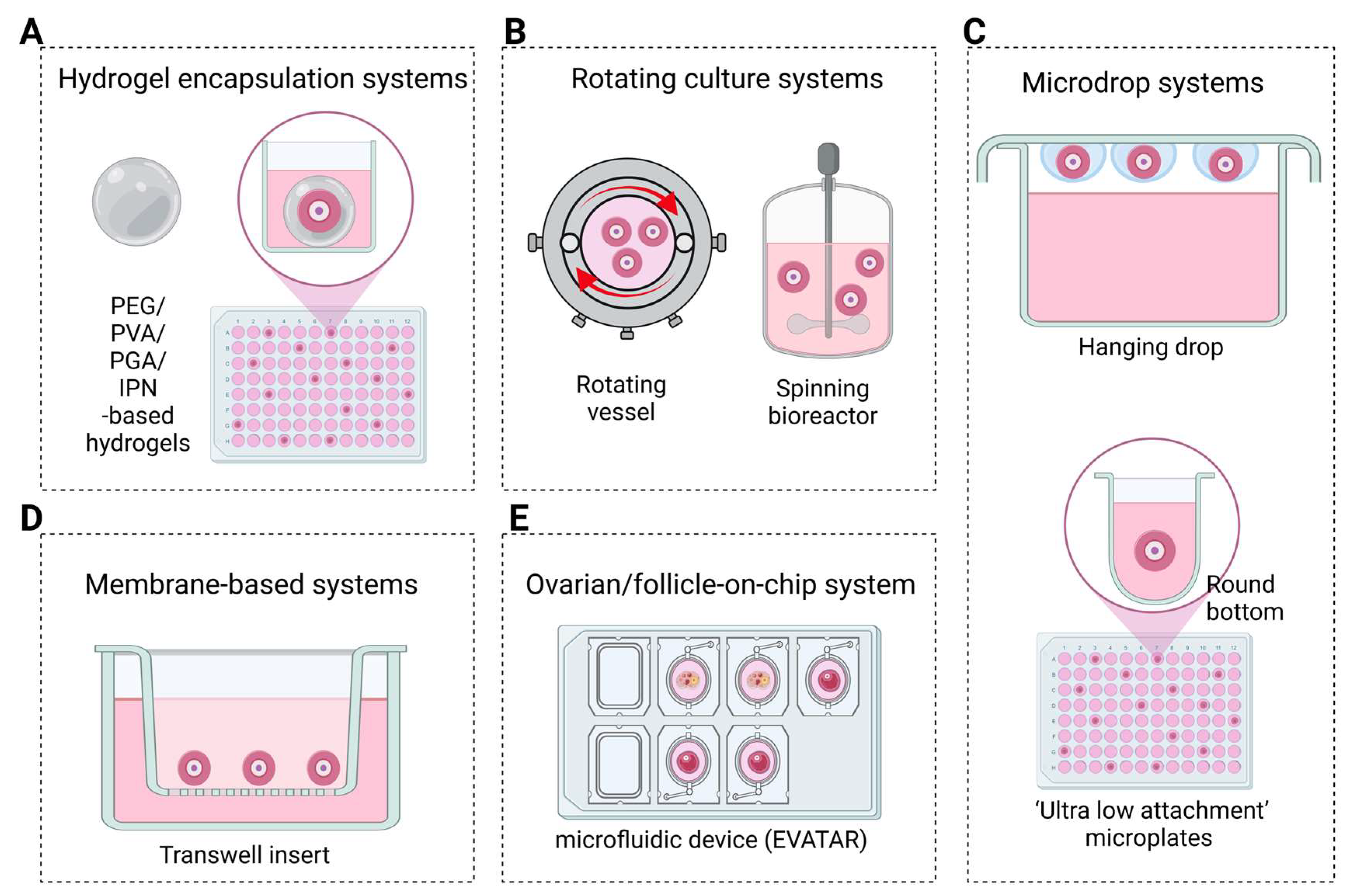 Cells 14 00355 g003 Cells 14 00355 g003