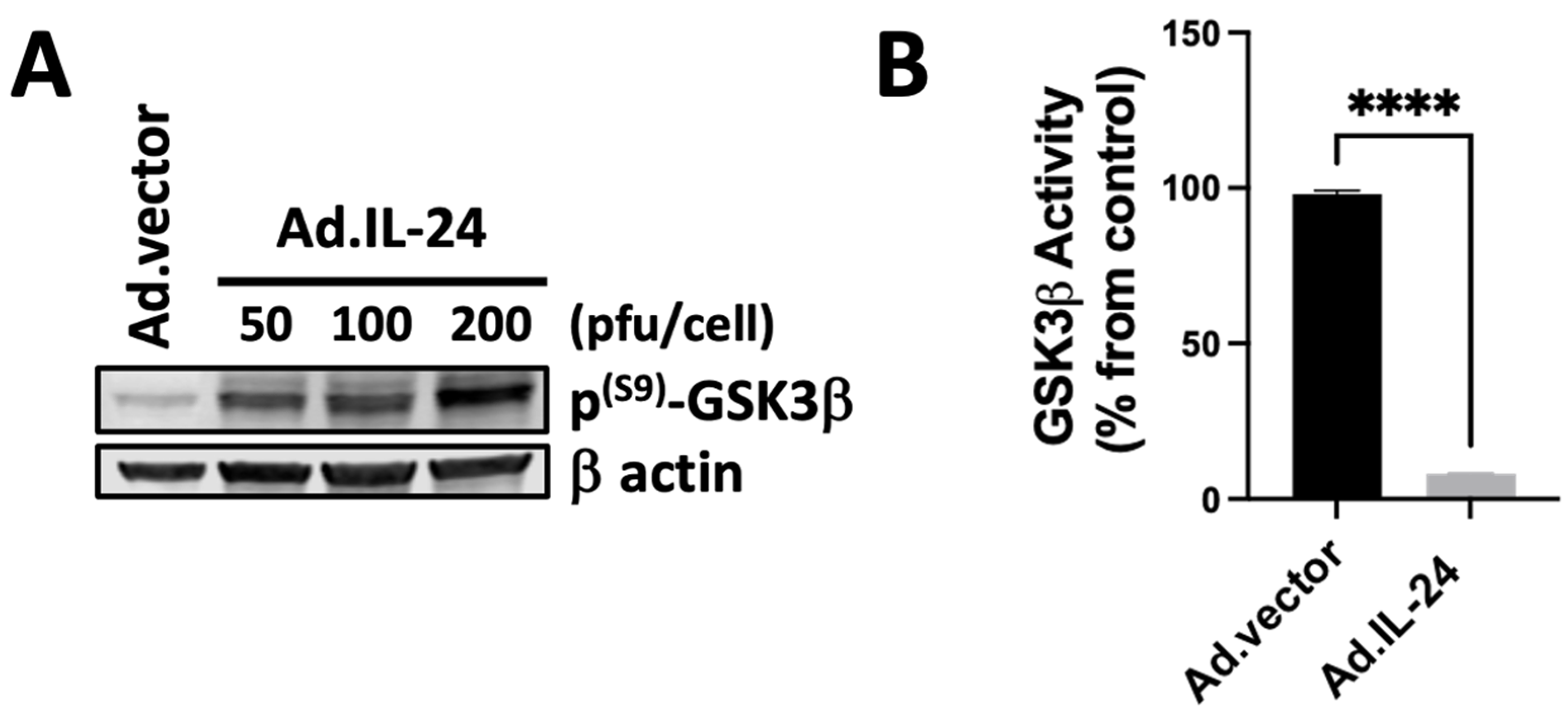Cells 14 00357 g002 Cells 14 00357 g002