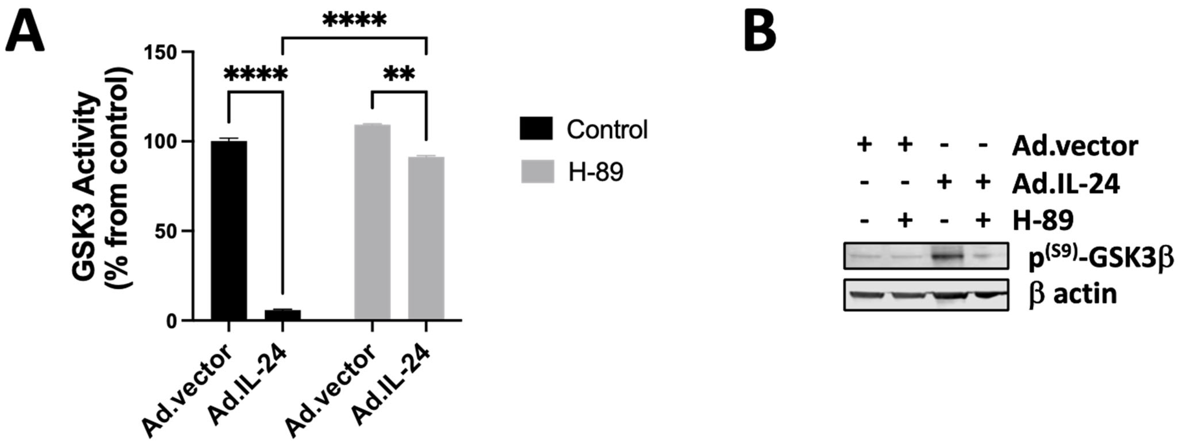 Cells 14 00357 g004 Cells 14 00357 g004