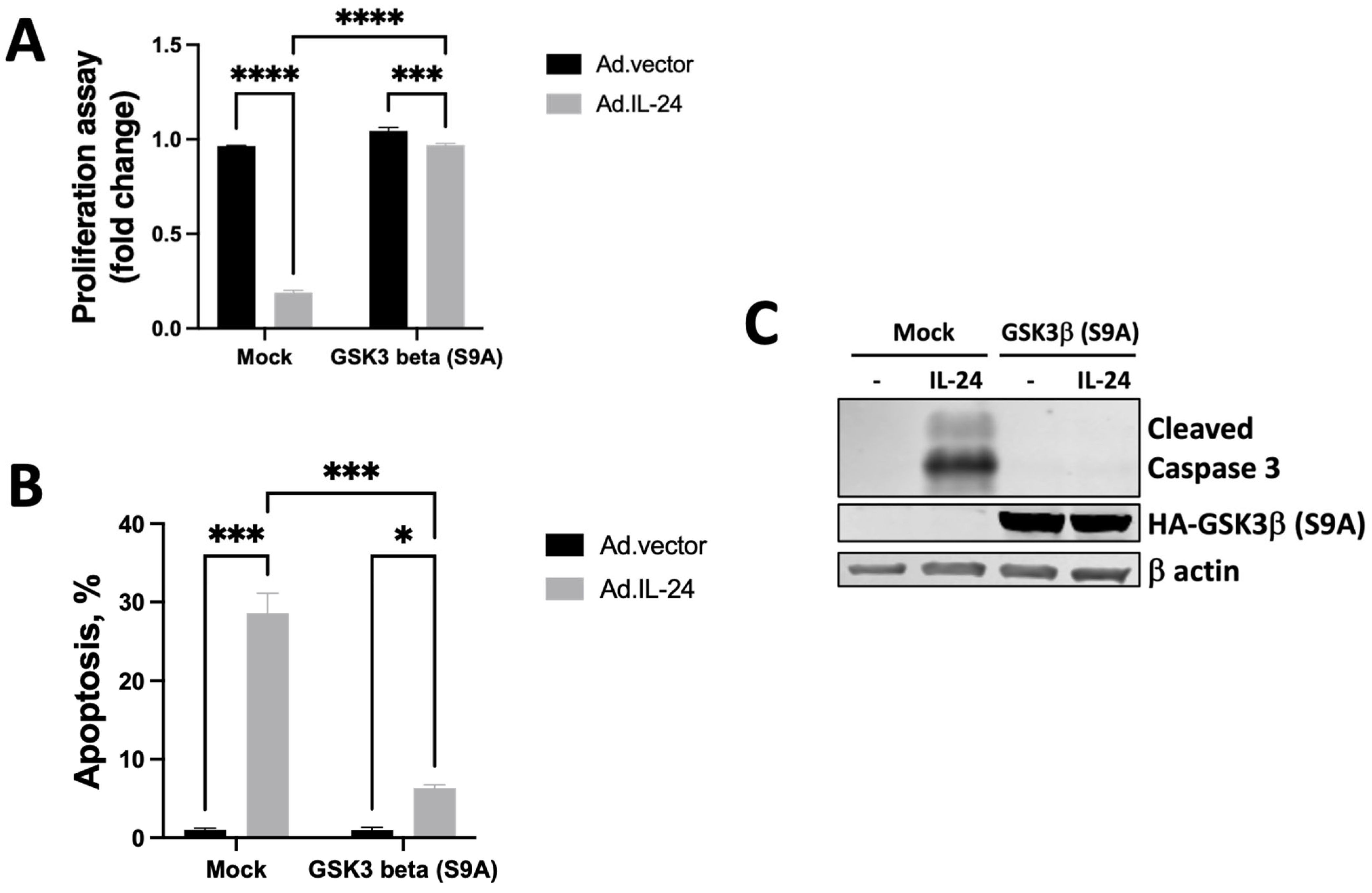 Cells 14 00357 g005 Cells 14 00357 g005