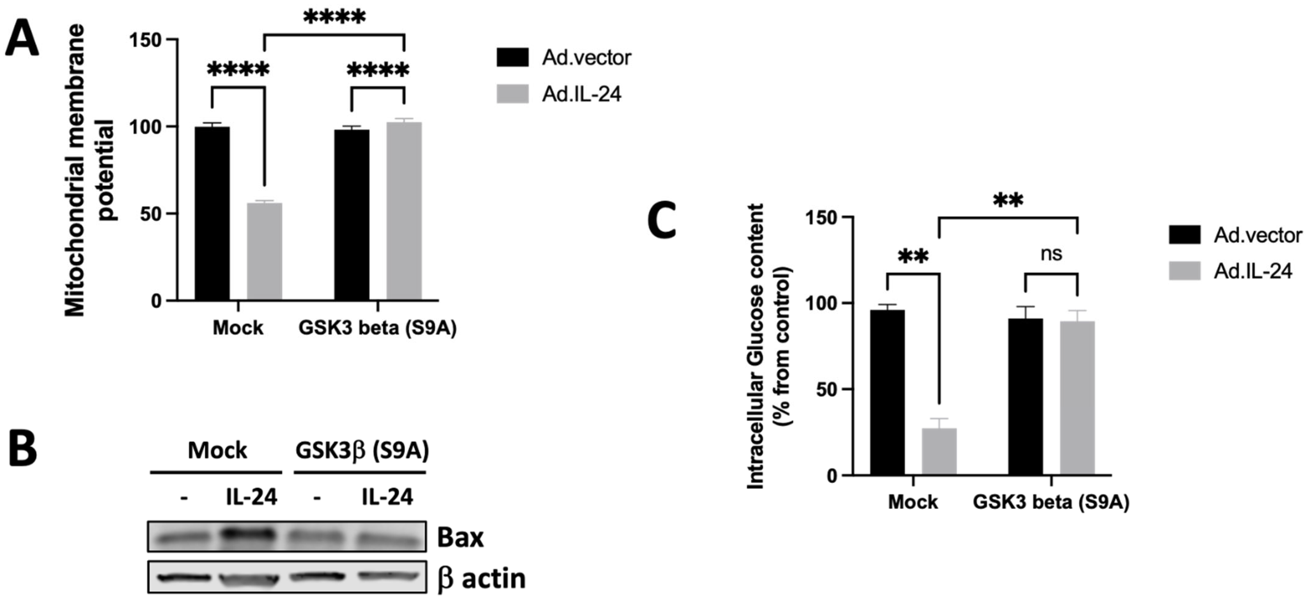 Cells 14 00357 g006 Cells 14 00357 g006