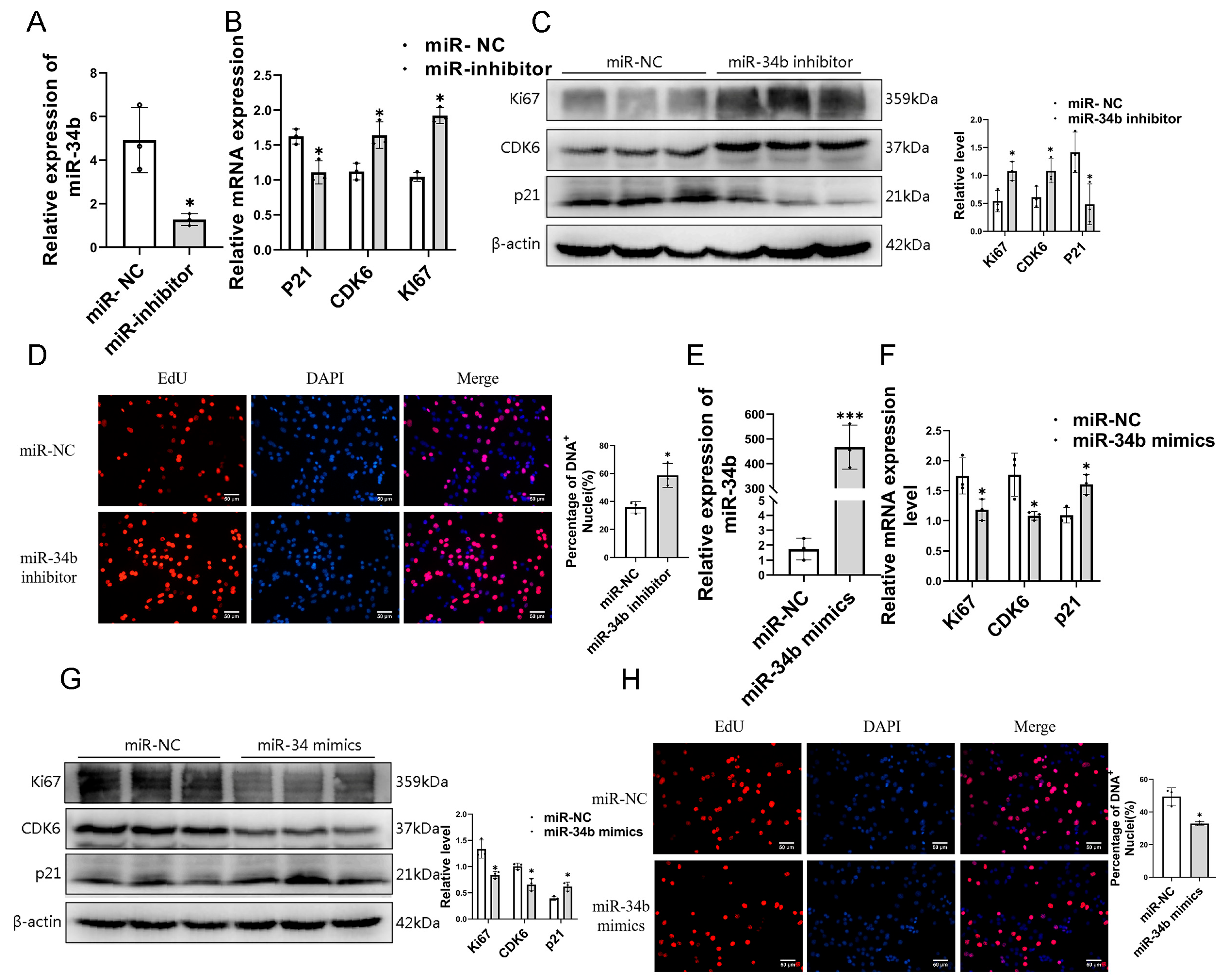 Cells 14 00379 g002 Cells 14 00379 g002