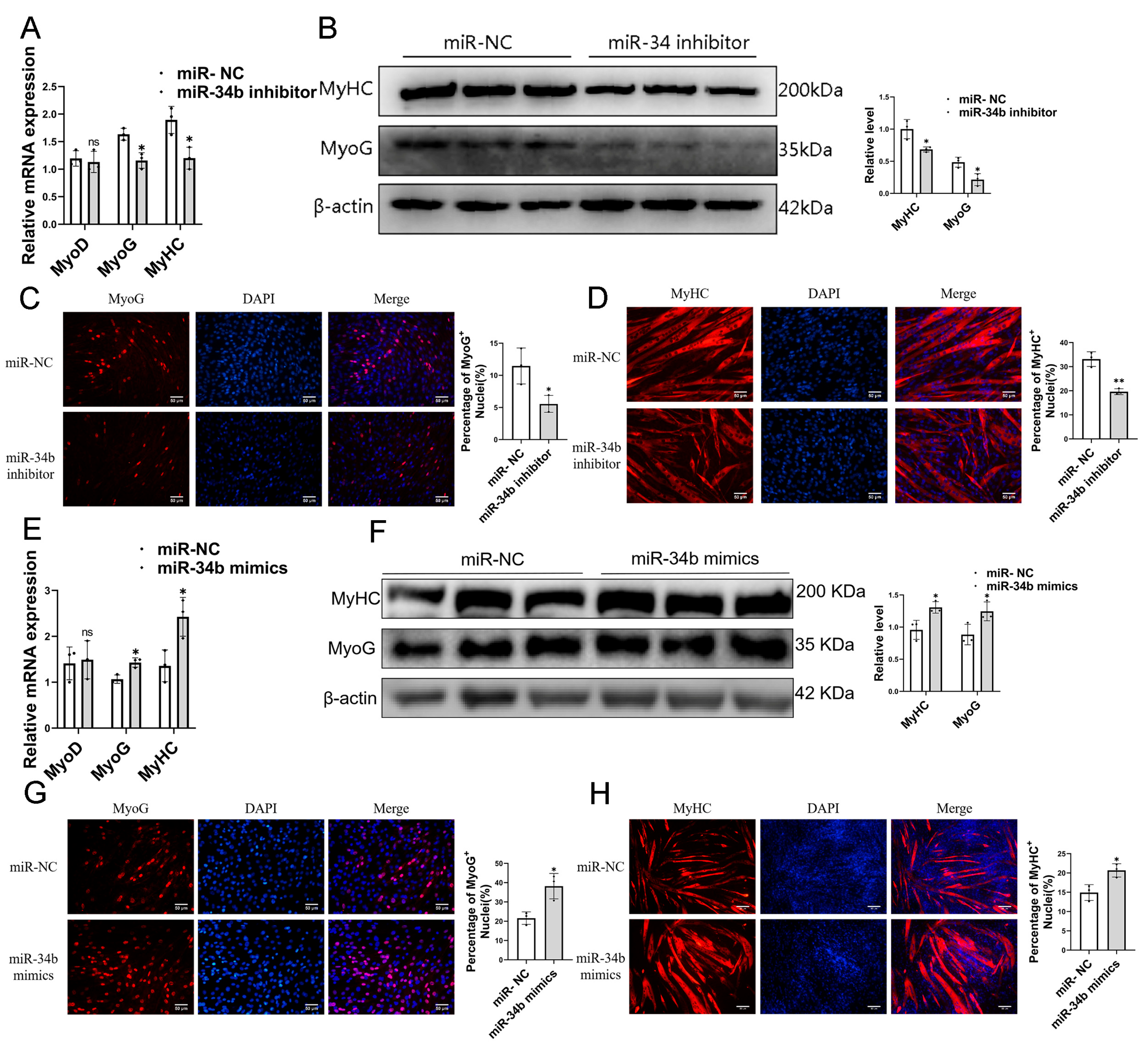 Cells 14 00379 g003 Cells 14 00379 g003