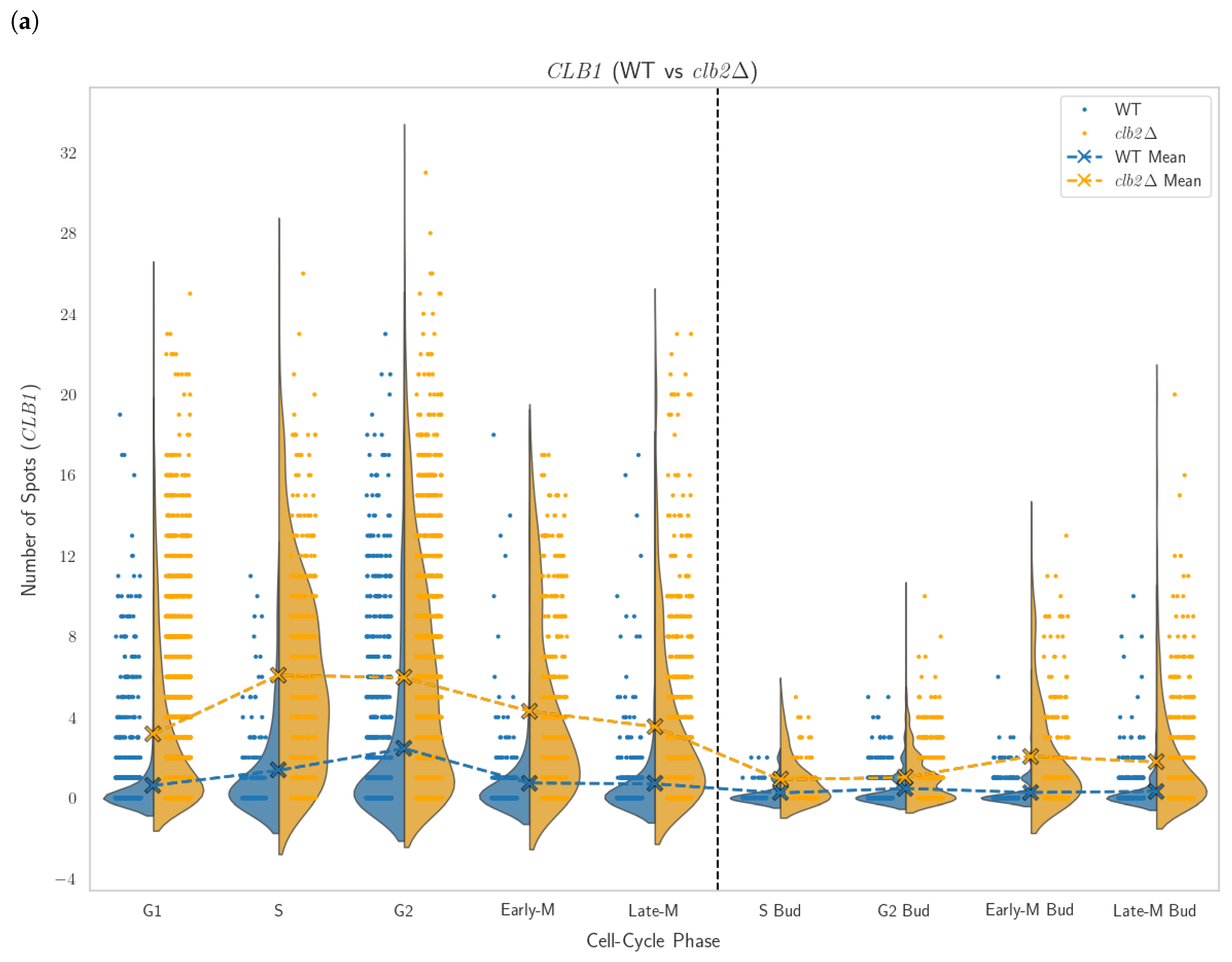 Cells 14 00412 g007a
