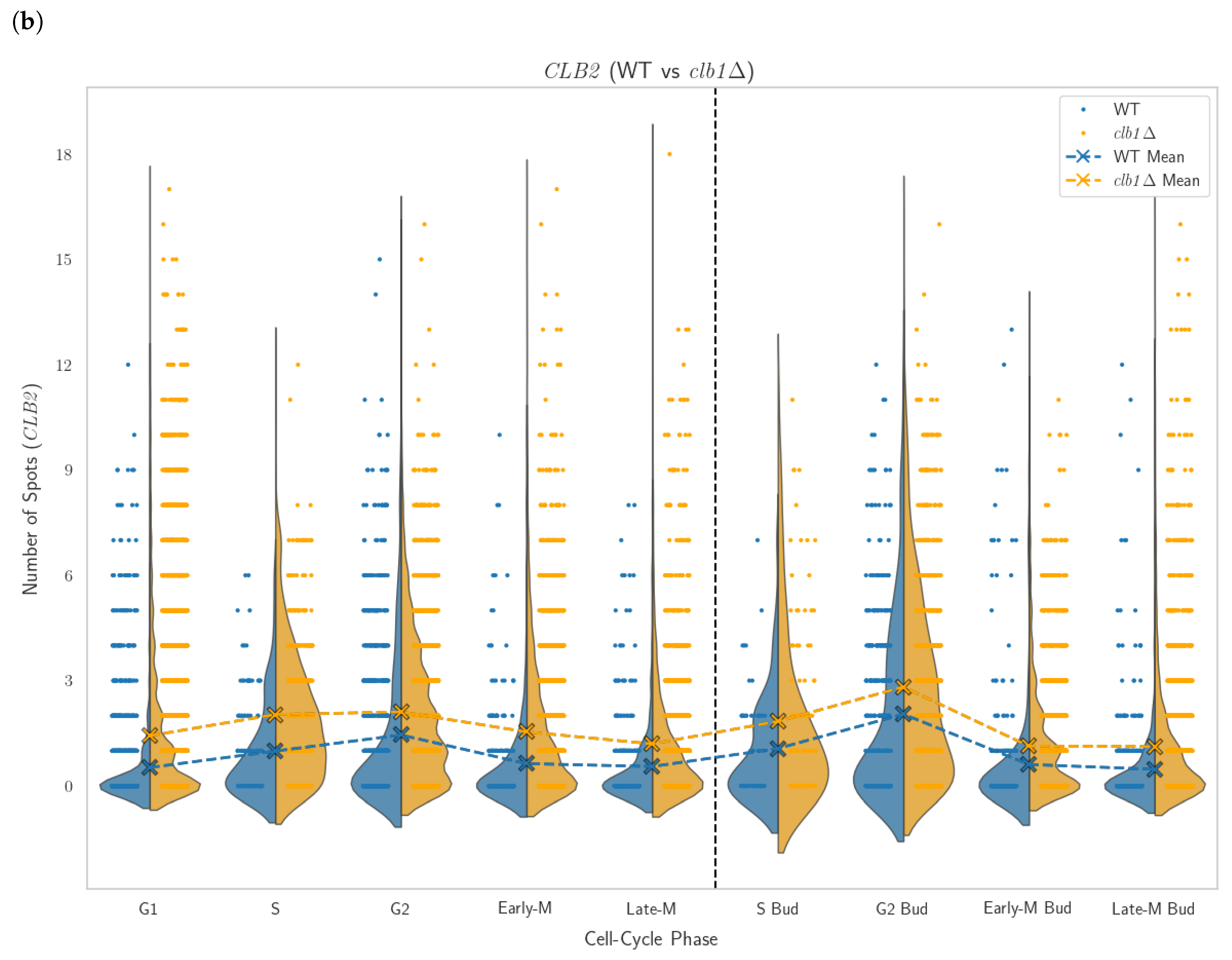 Cells 14 00412 g007b