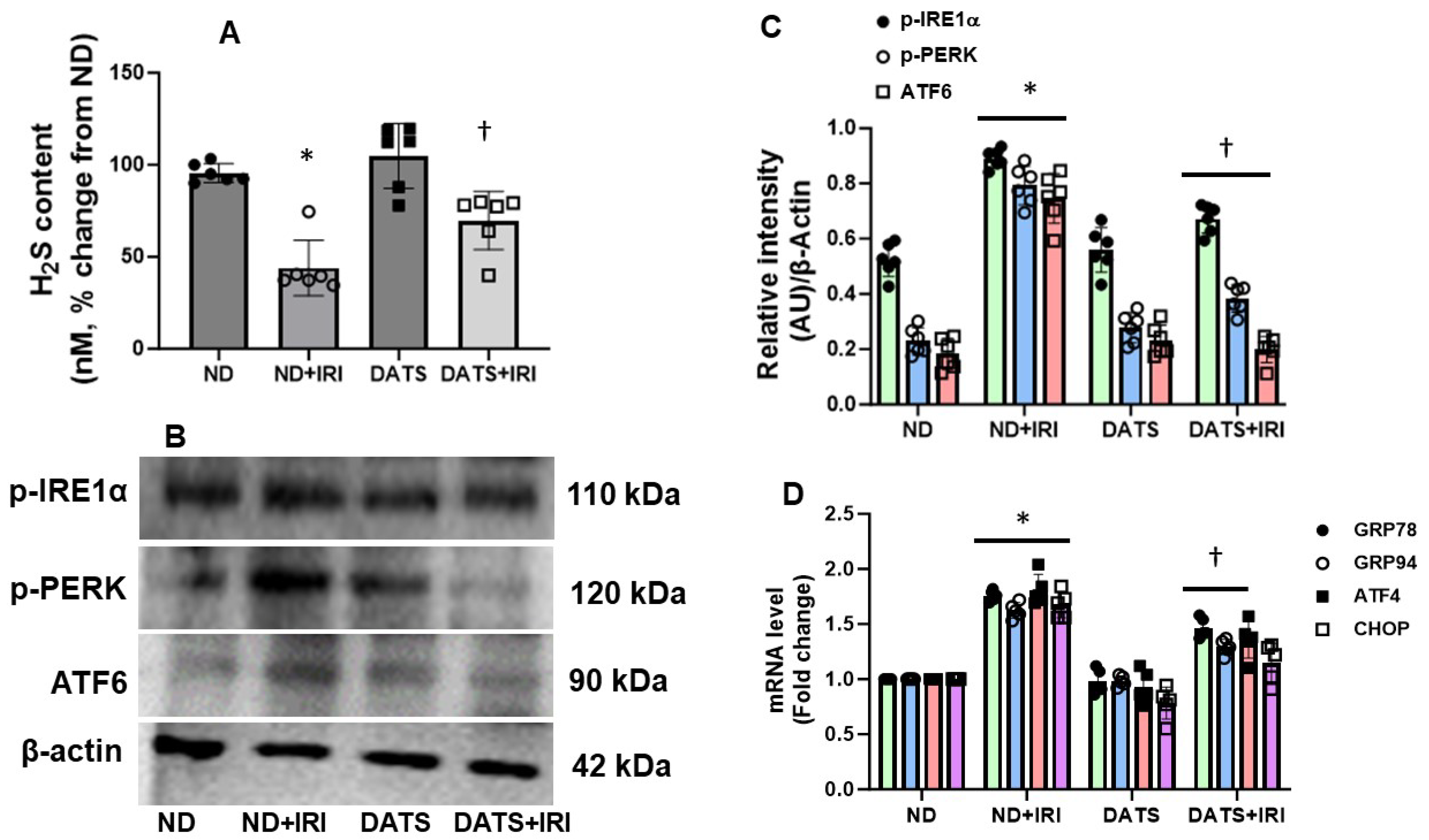 Cells 14 00420 g001 Cells 14 00420 g001