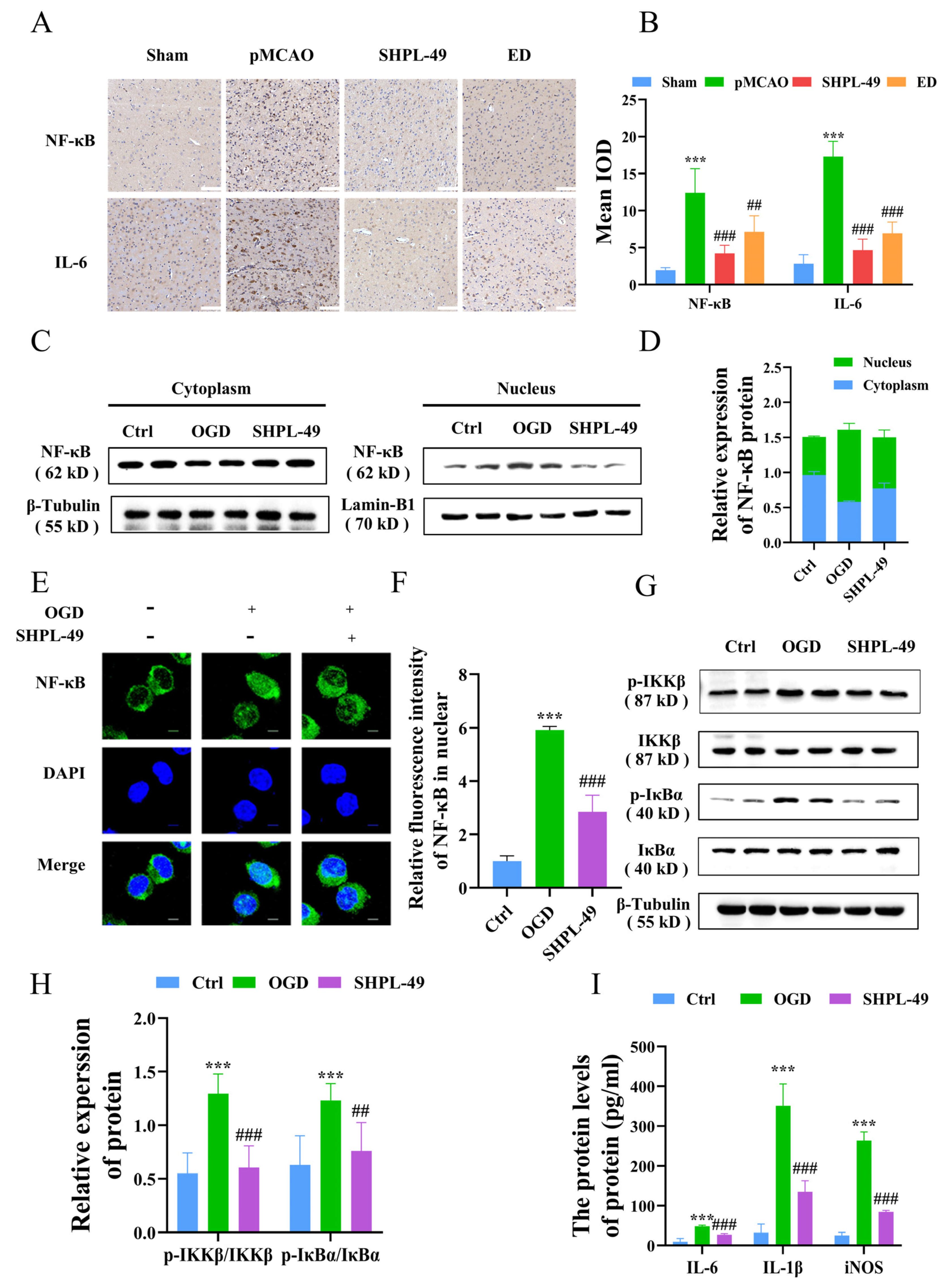 Cells 14 00425 g001 Cells 14 00425 g001