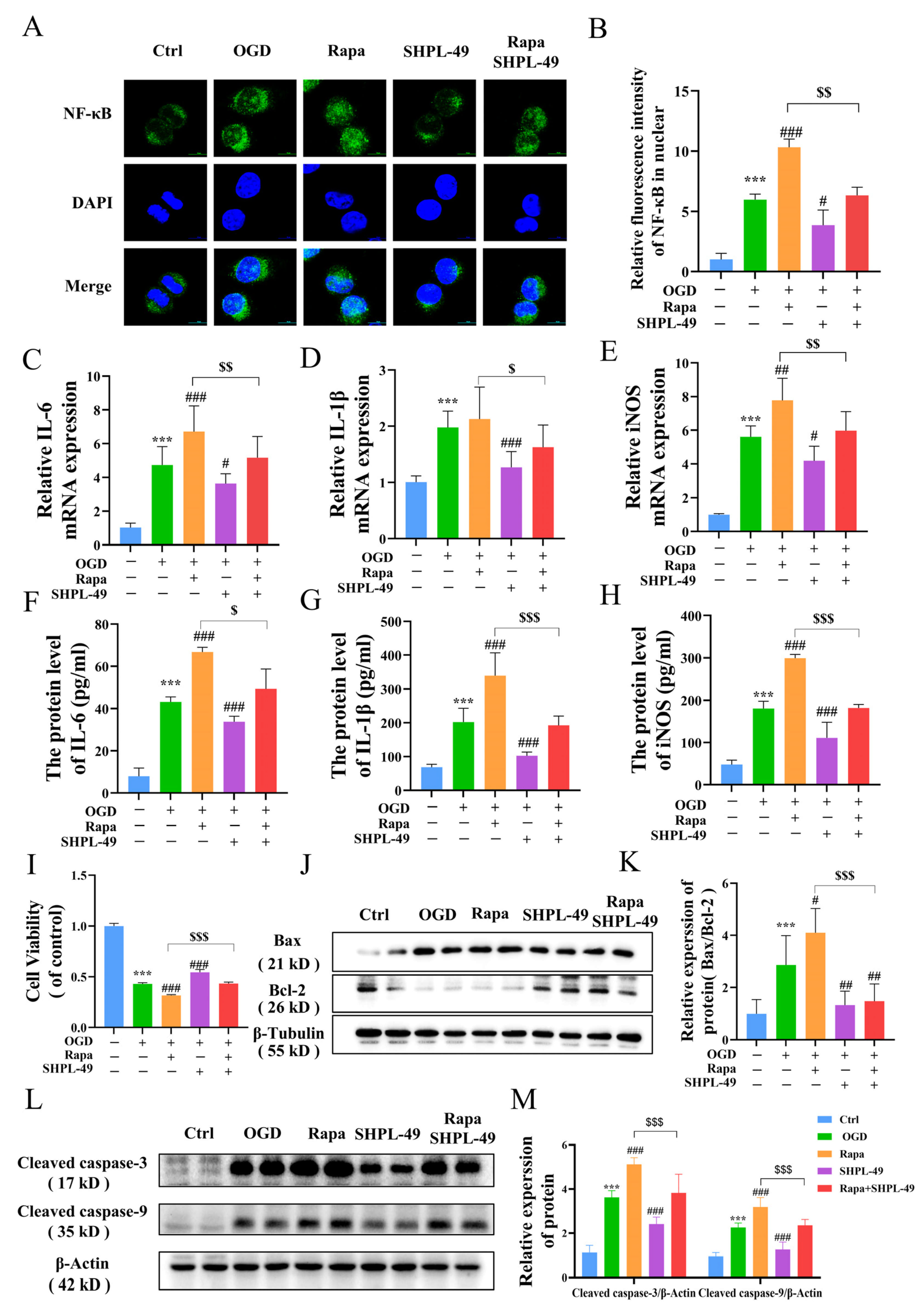 Cells 14 00425 g005 Cells 14 00425 g005