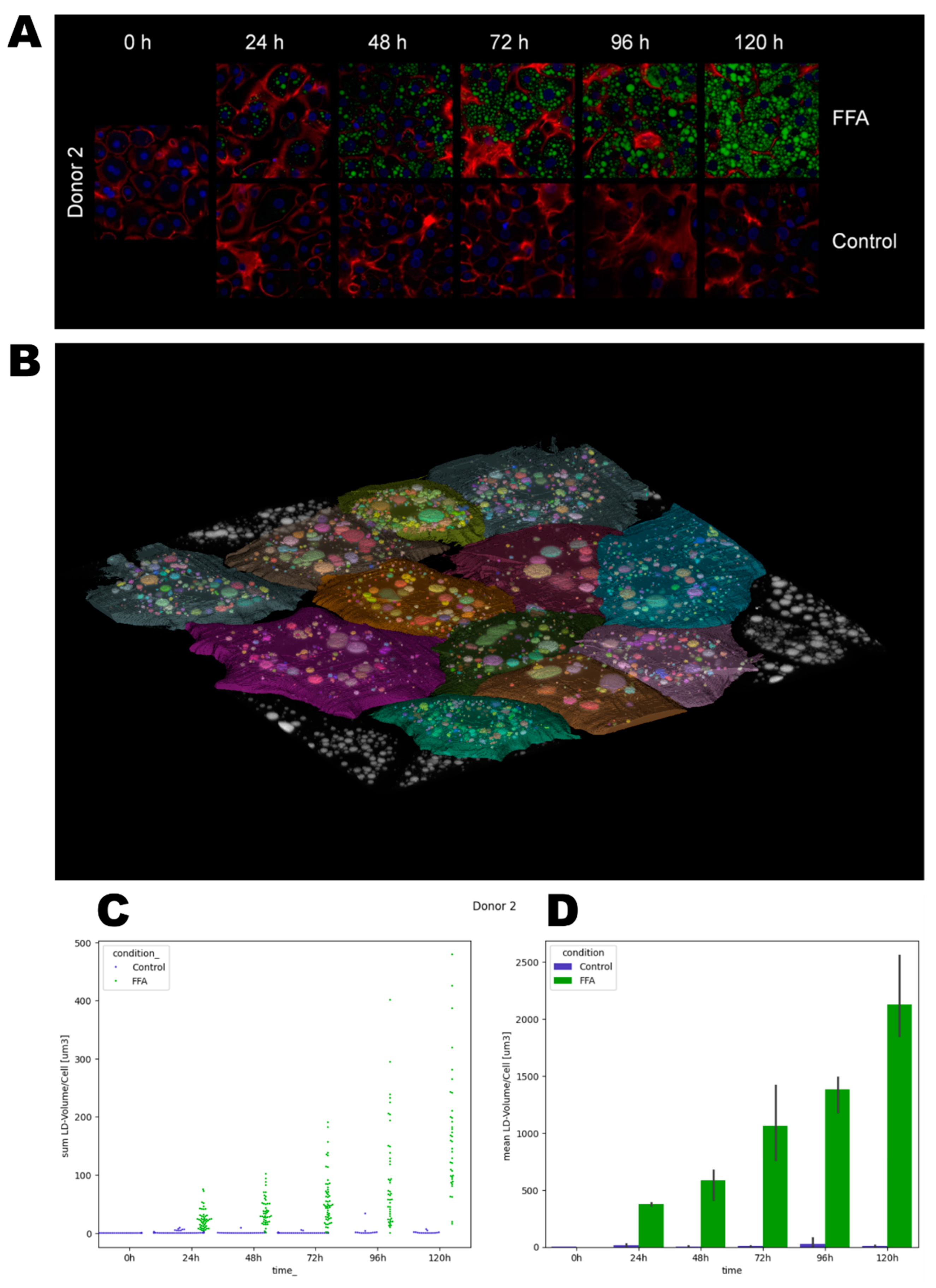 Cells 14 00449 g003 Cells 14 00449 g003