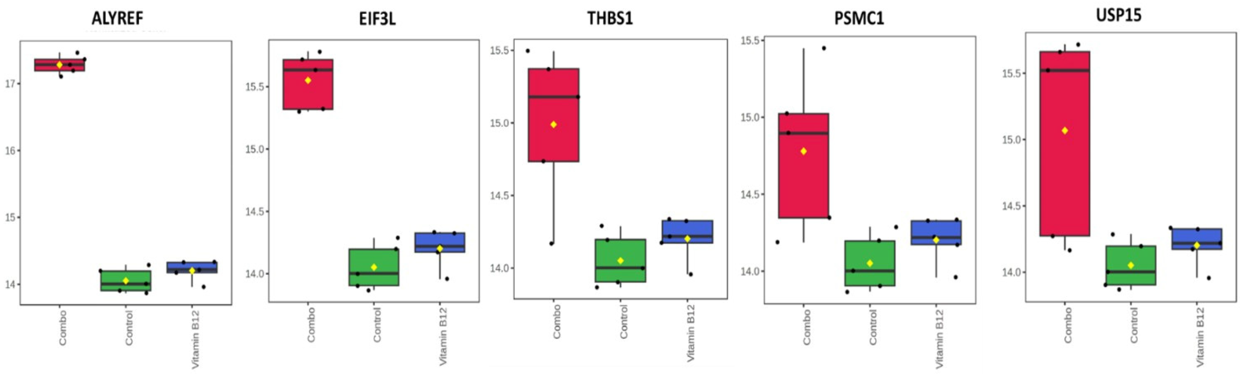 Cells 14 00477 g0a1 Cells 14 00477 g0a1
