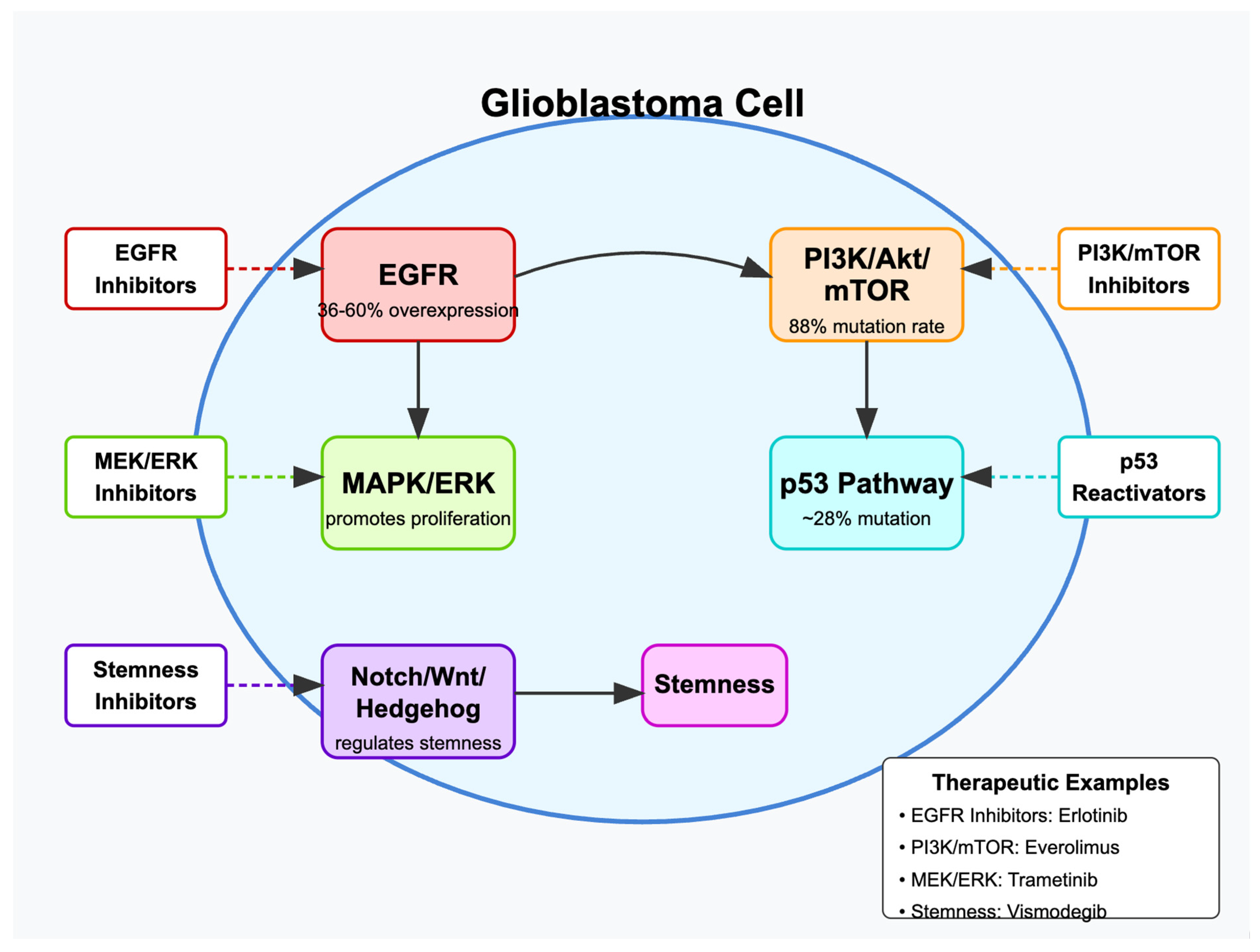 Cells 14 00494 g001 Cells 14 00494 g001