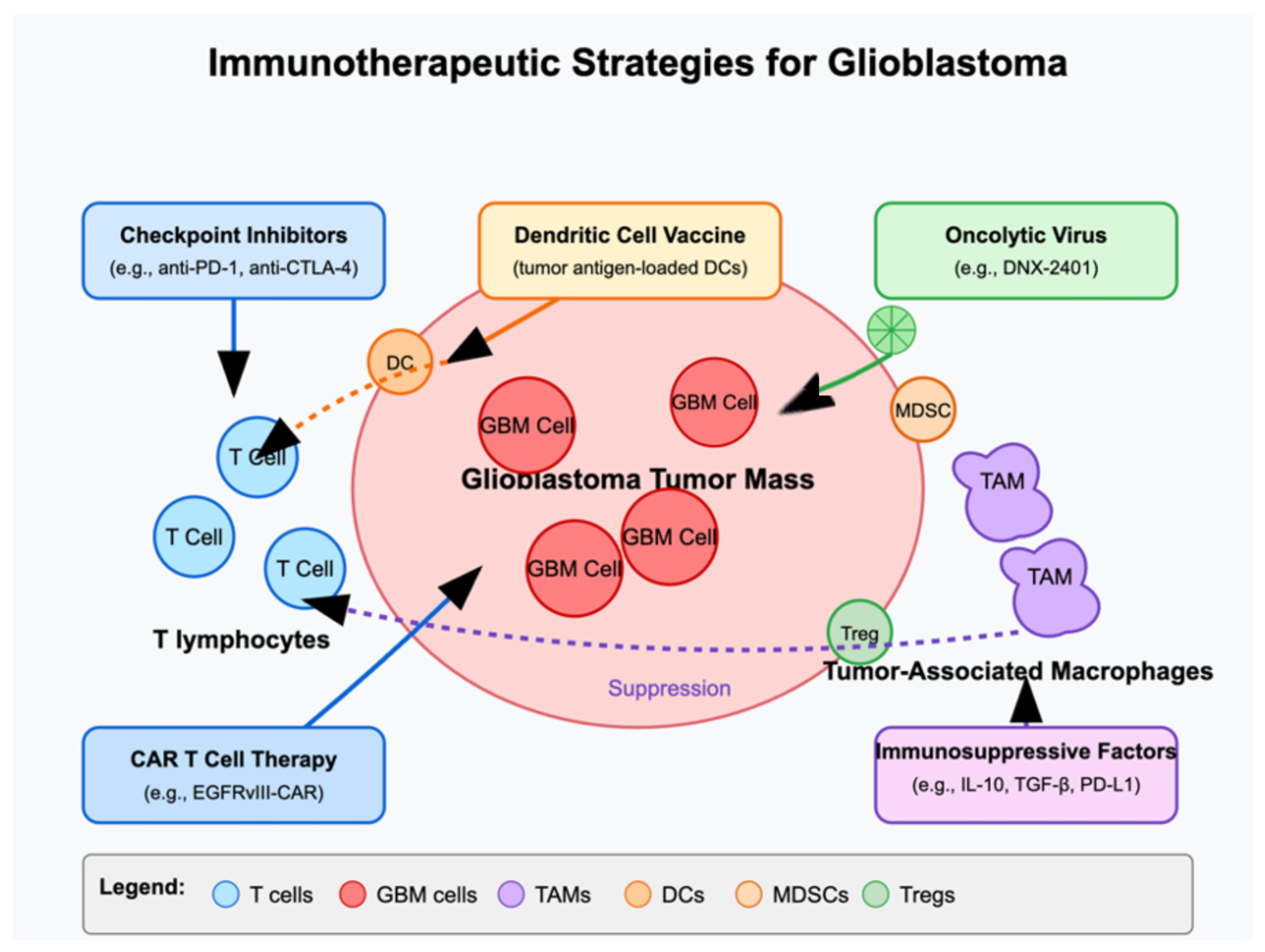 Cells 14 00494 g002 Cells 14 00494 g002