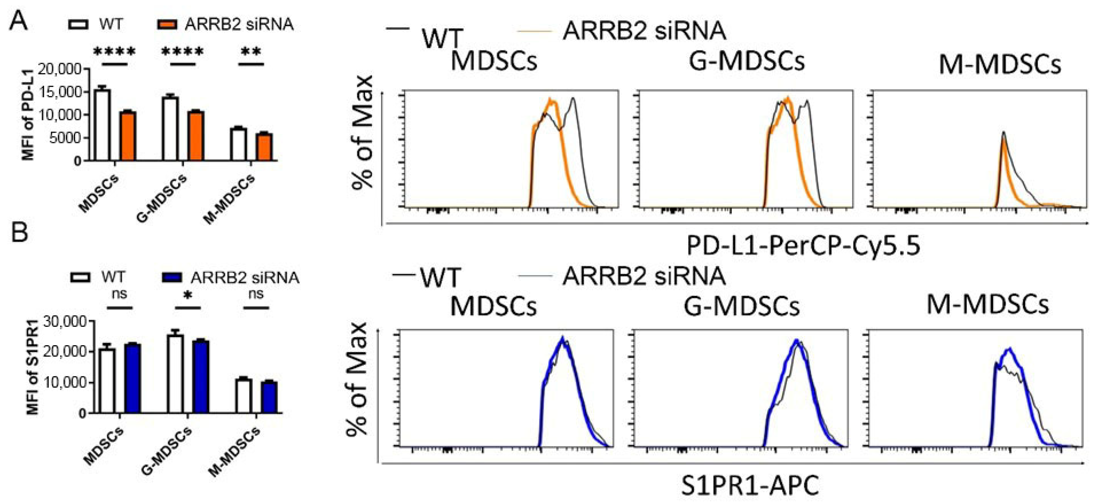 Cells 14 00496 g005 Cells 14 00496 g005