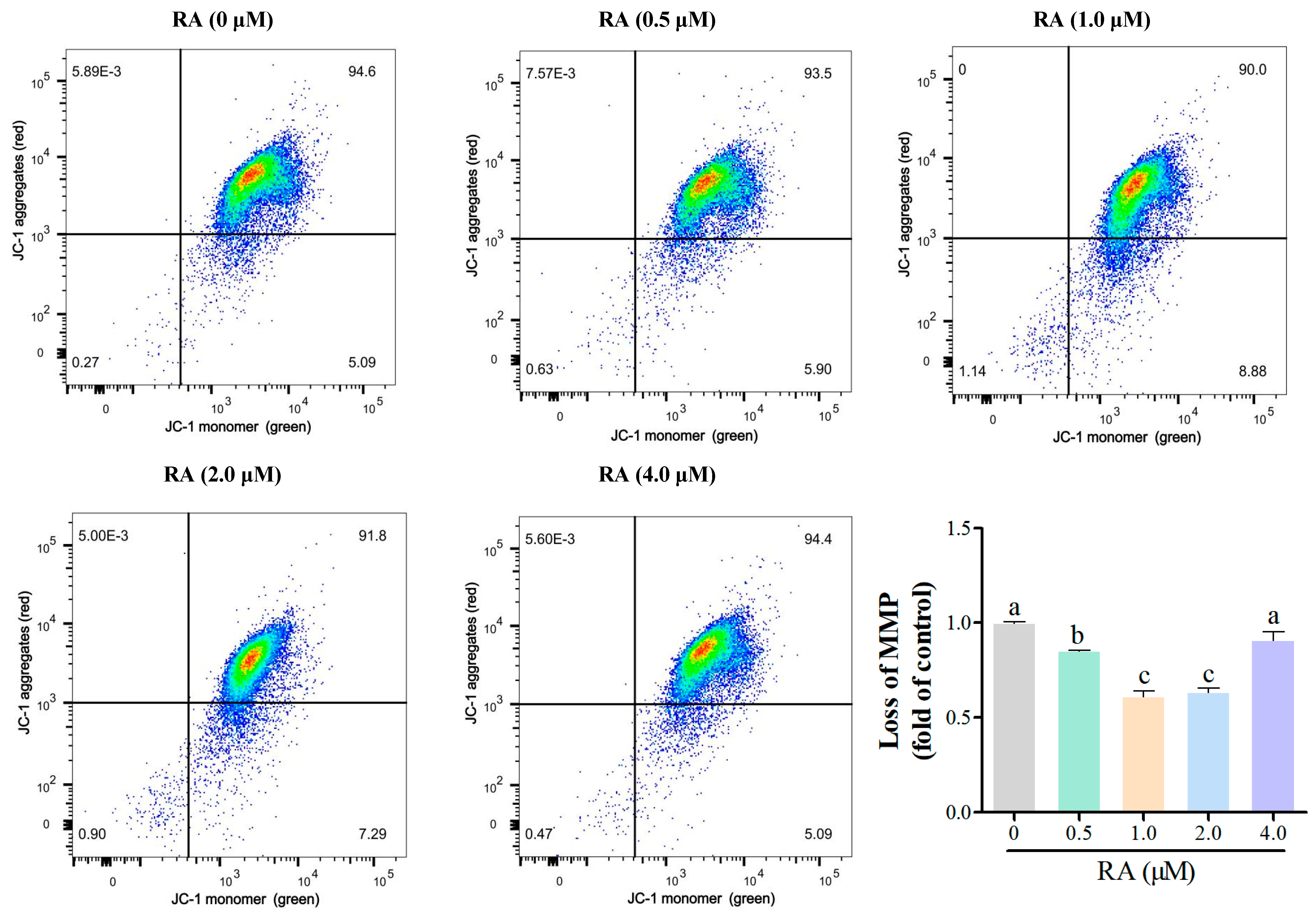 Cells 14 00504 g002 Cells 14 00504 g002